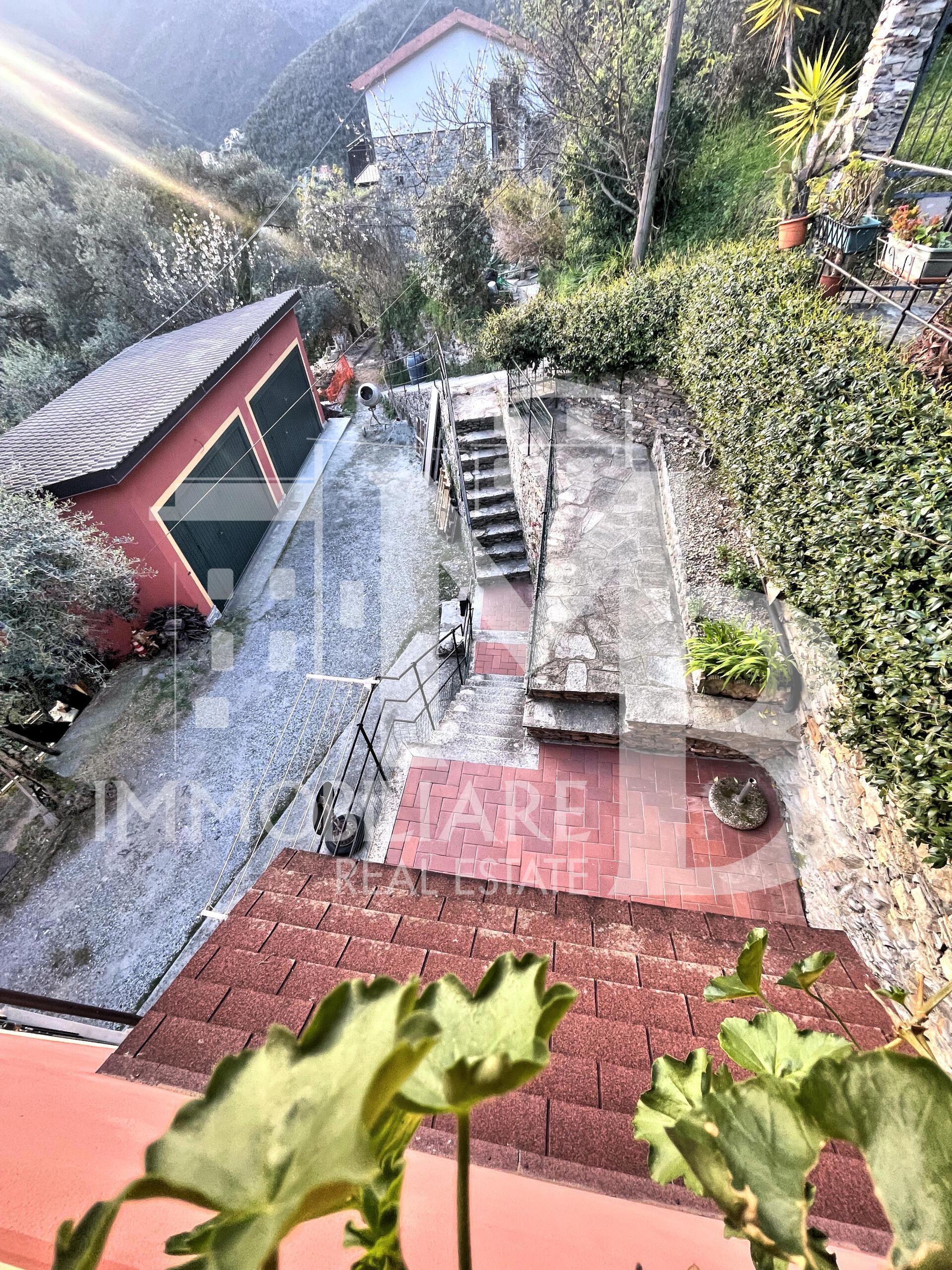 Foto annuncio 6
