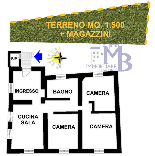 Foto annuncio 2