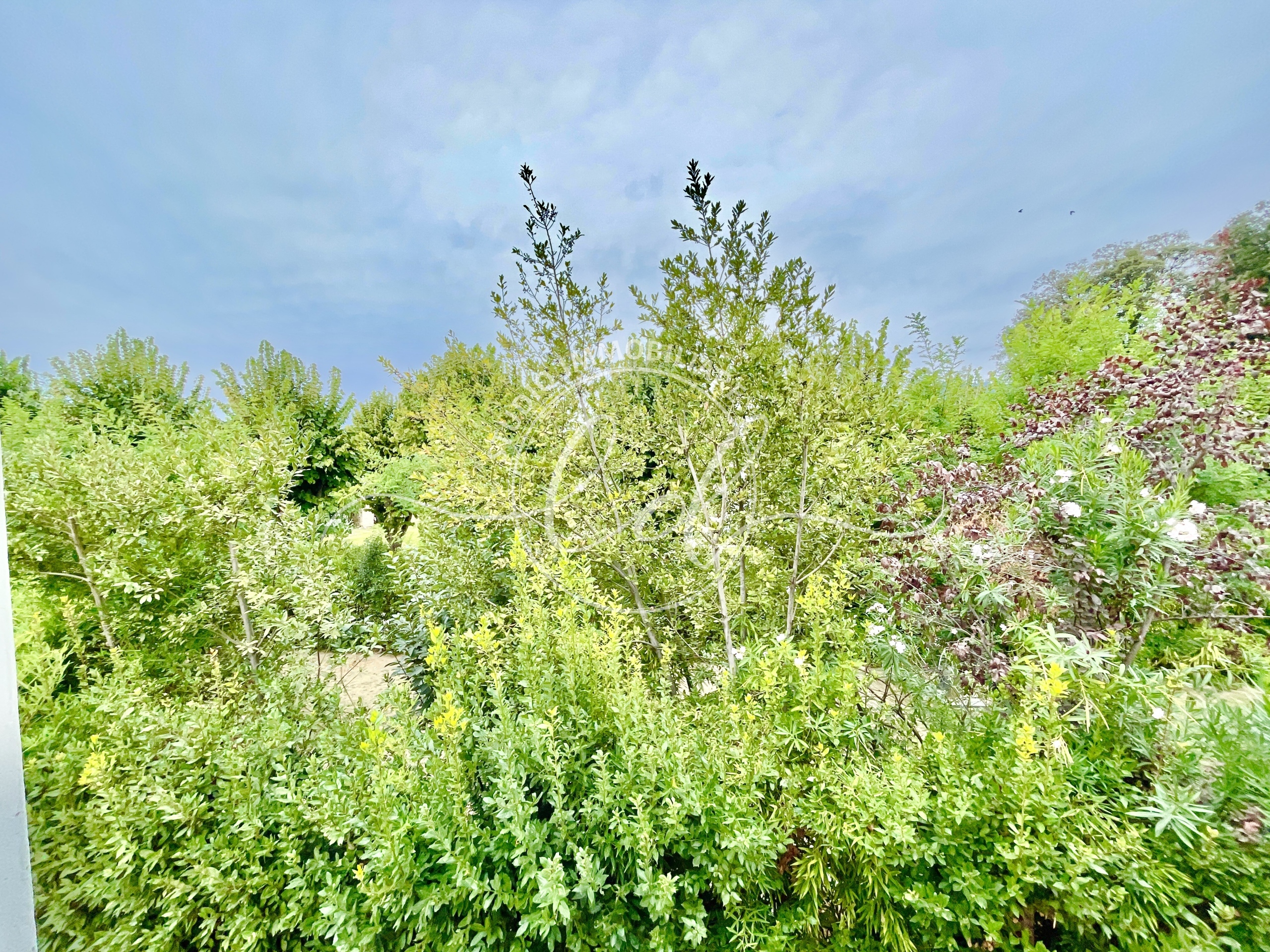 Immagine 8 di Porzione di casa in vendita  a Pietrasanta