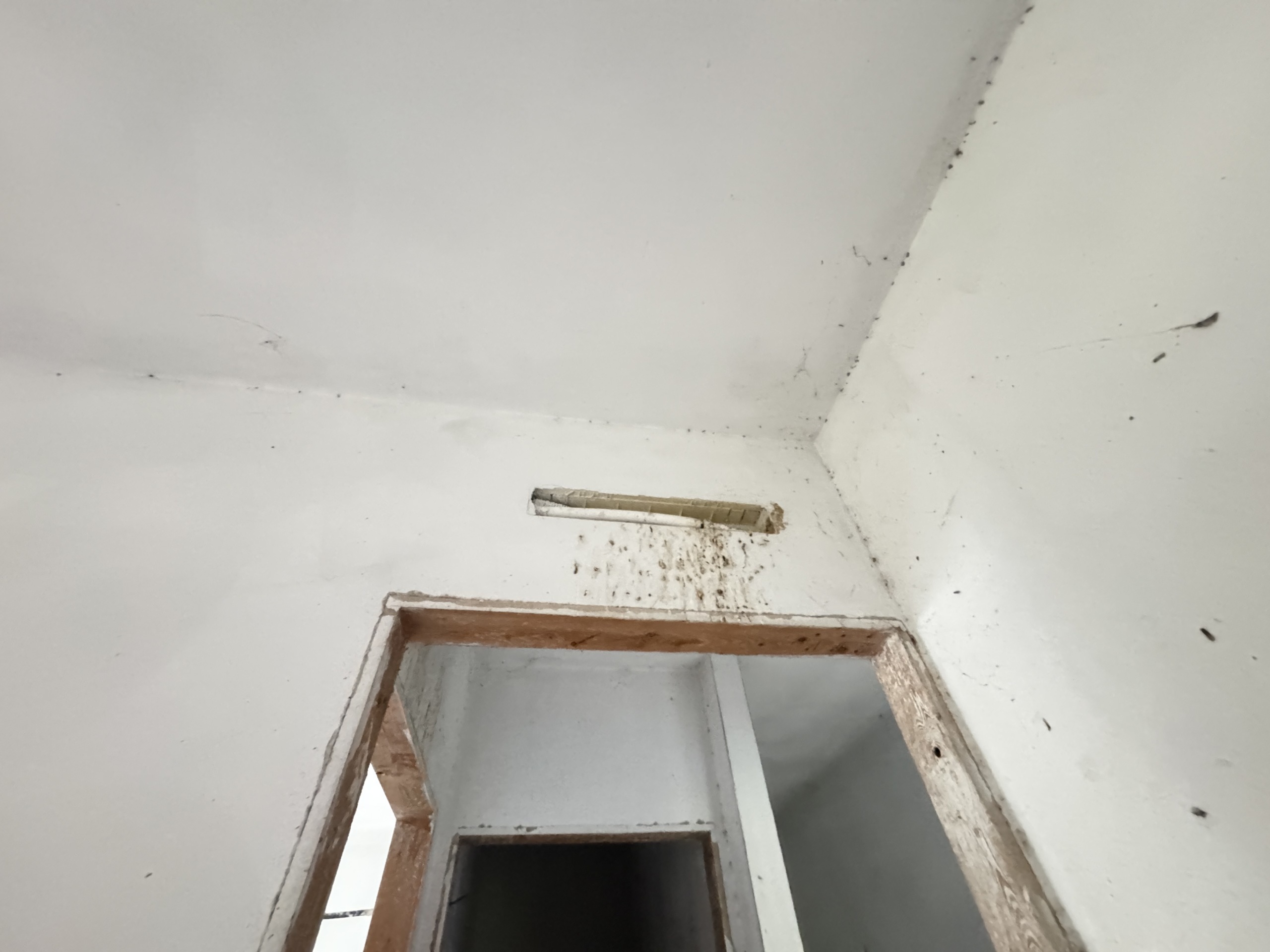 Immagine 25 di Porzione di casa in vendita  a Camaiore