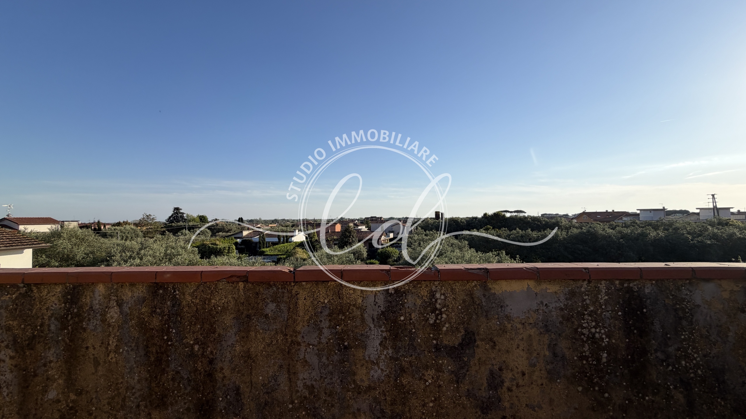 Foto annuncio 62