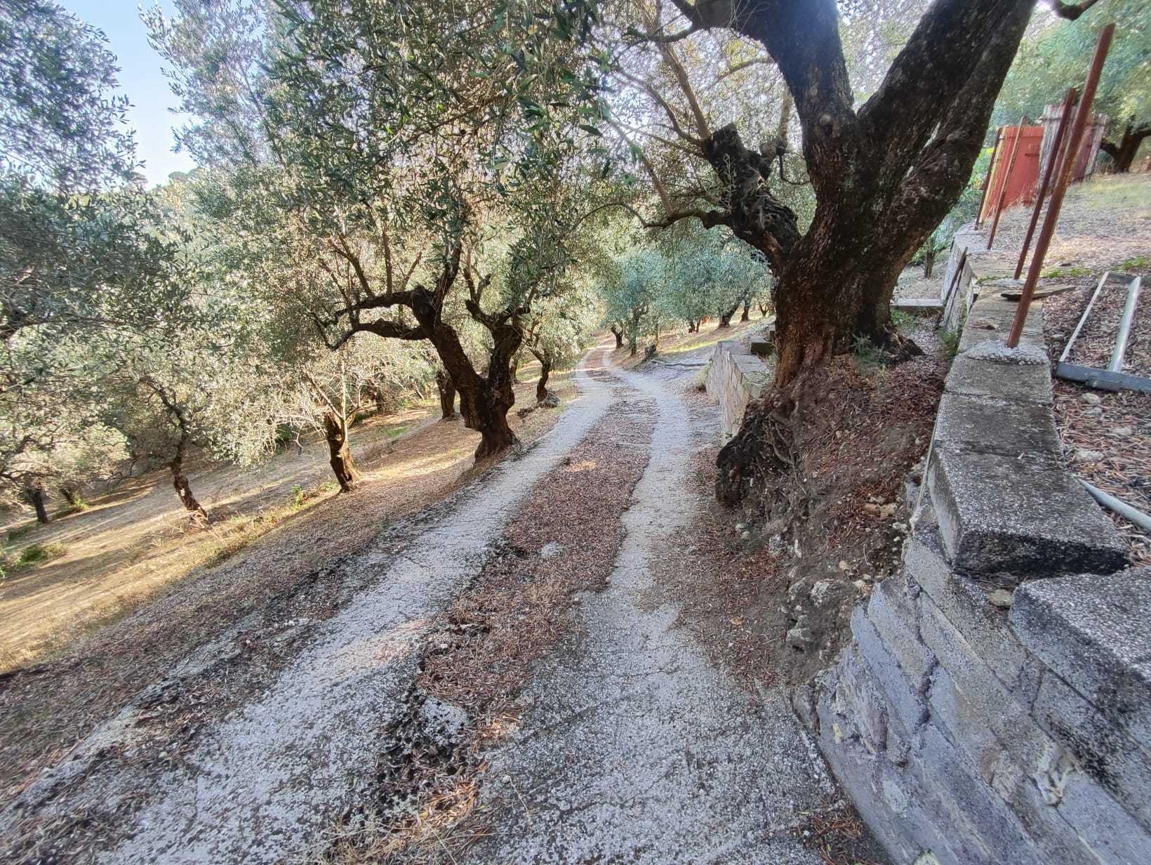 Immagine 25 di Terreno agricolo in vendita  in via caolini a Marcellina