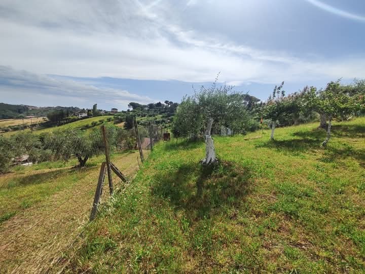 Immagine 20 di Terreno agricolo in vendita  in via monte palombino a Fonte Nuova
