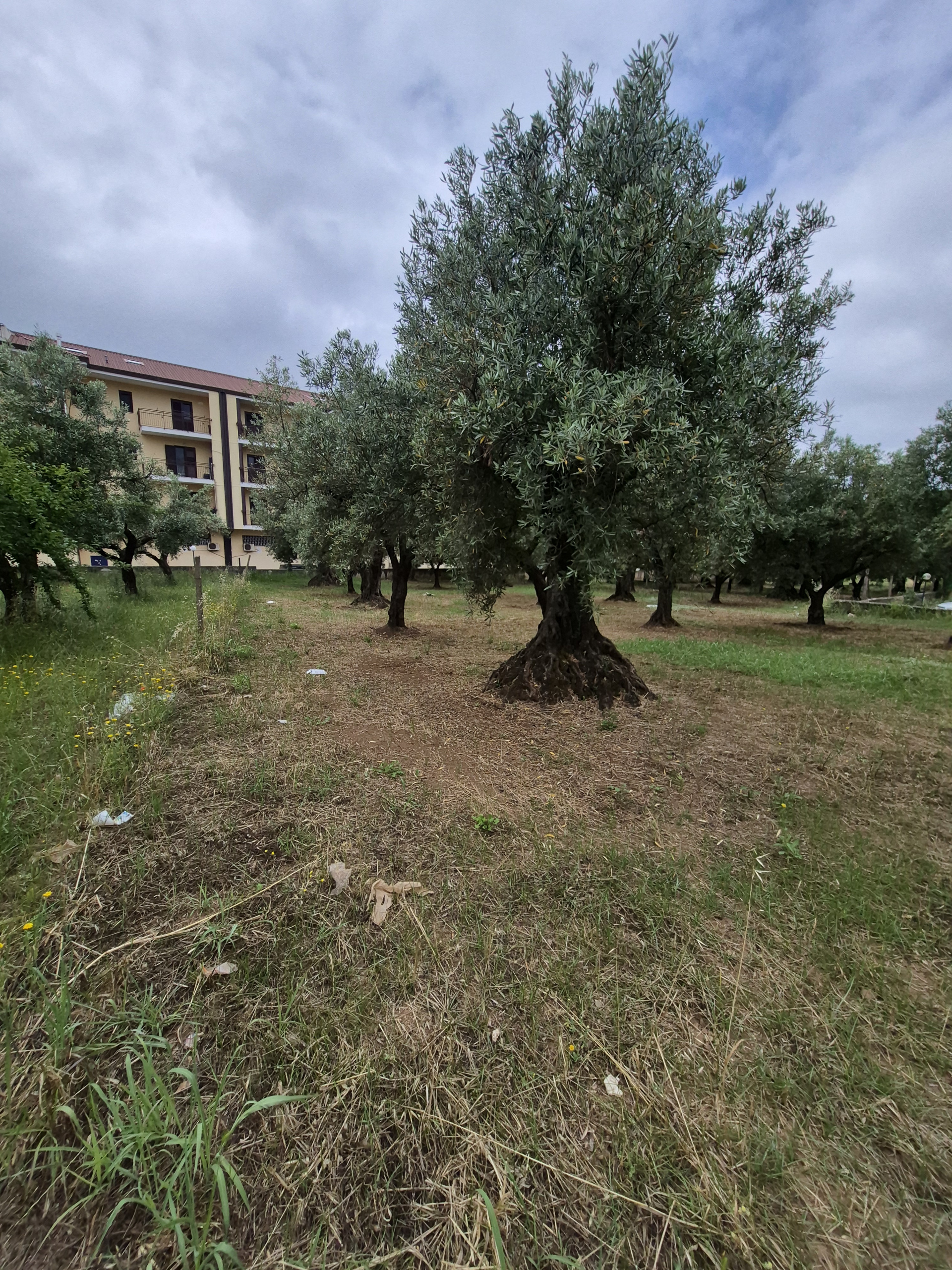 Foto annuncio 2