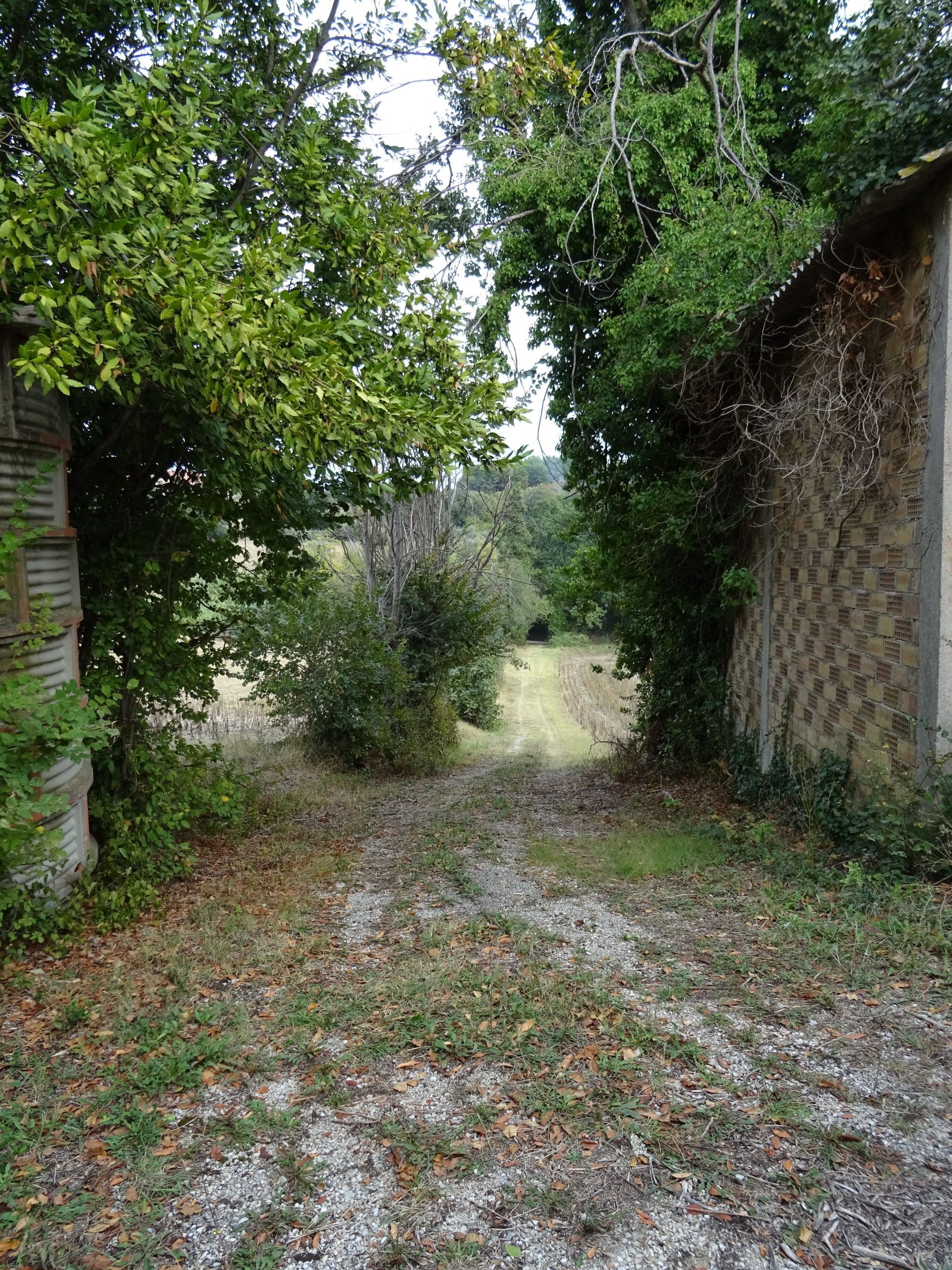 Immagine 7 di Casa indipendente in vendita  a Senigallia