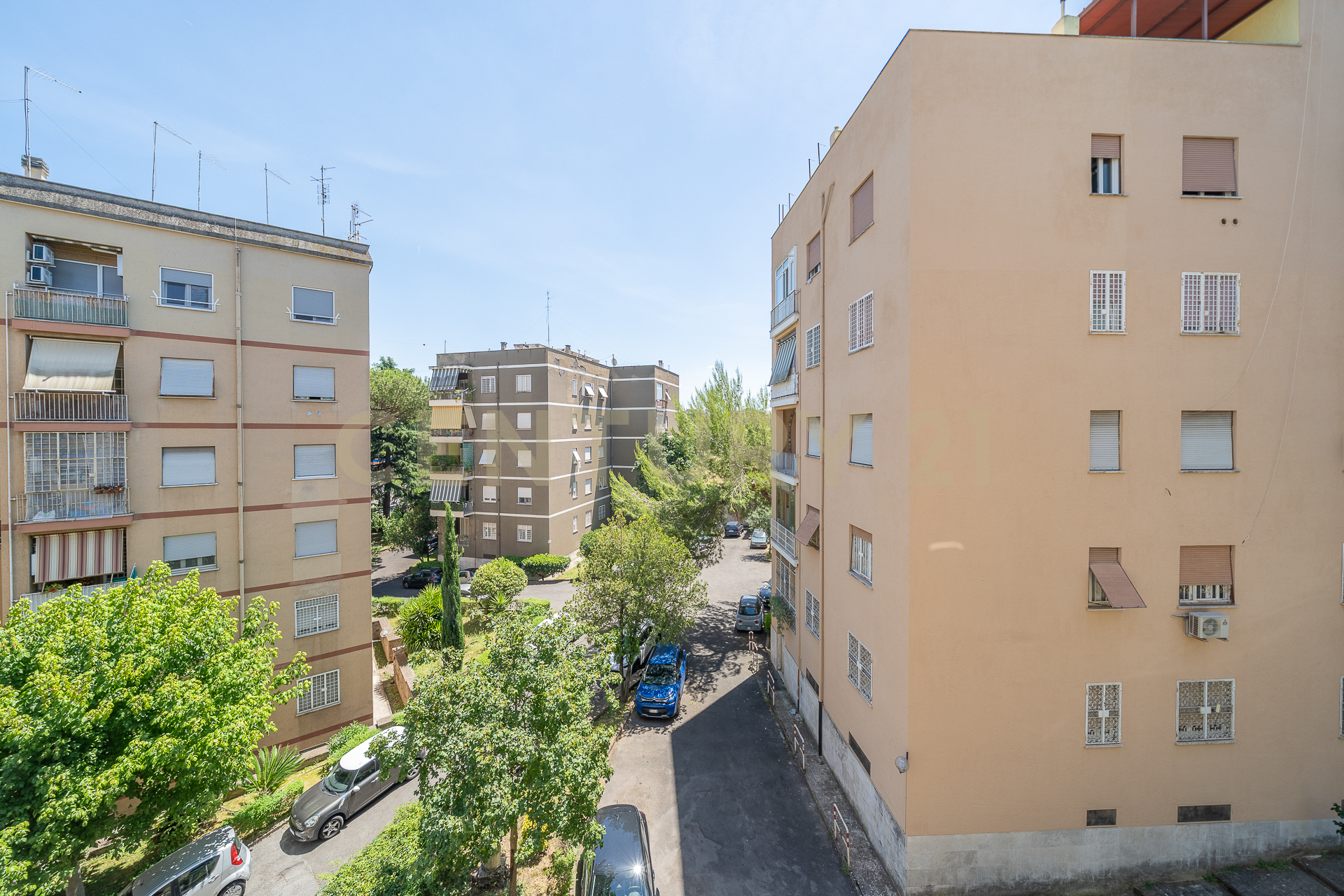 Foto annuncio 33