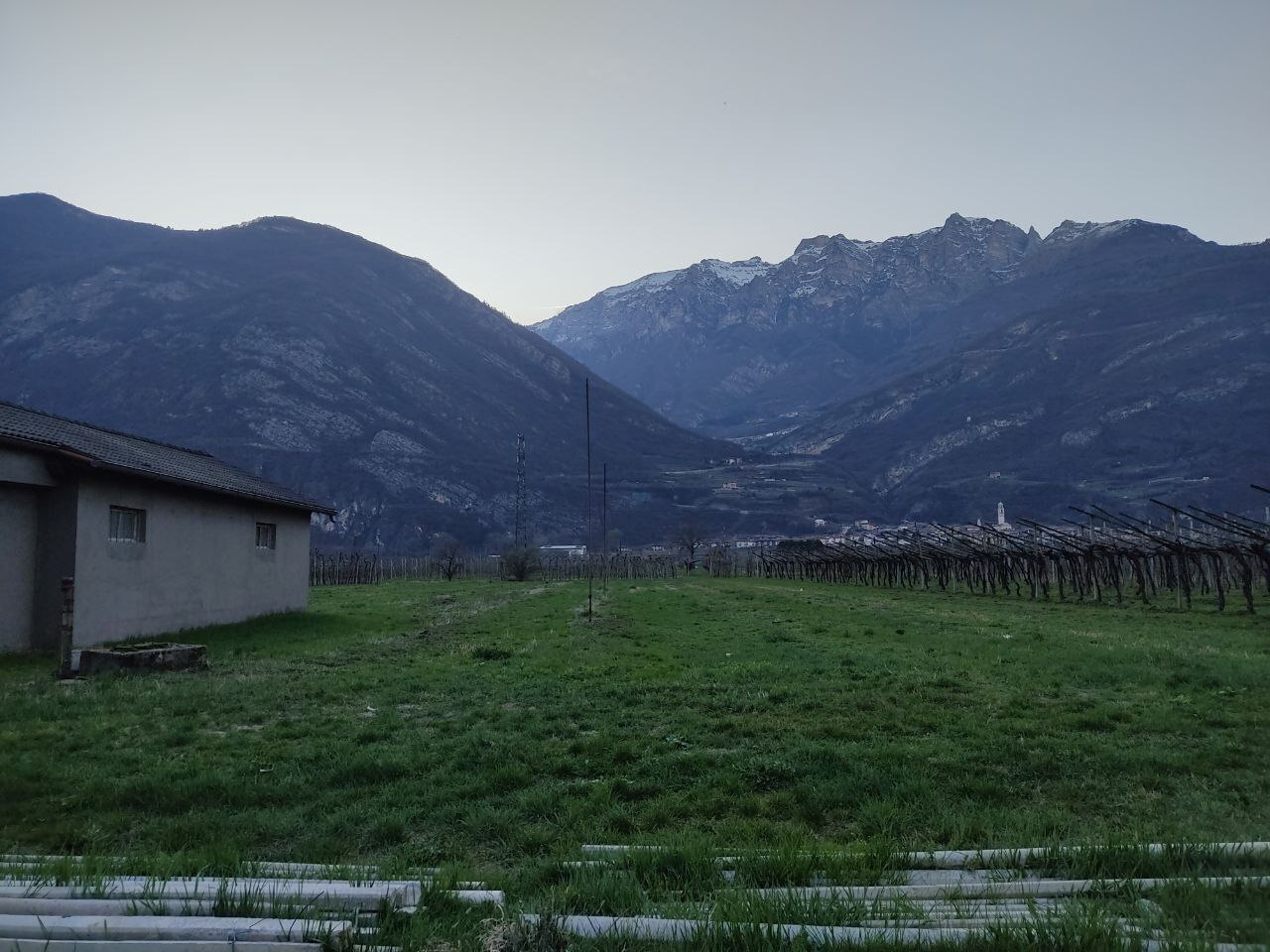 Foto annuncio 5