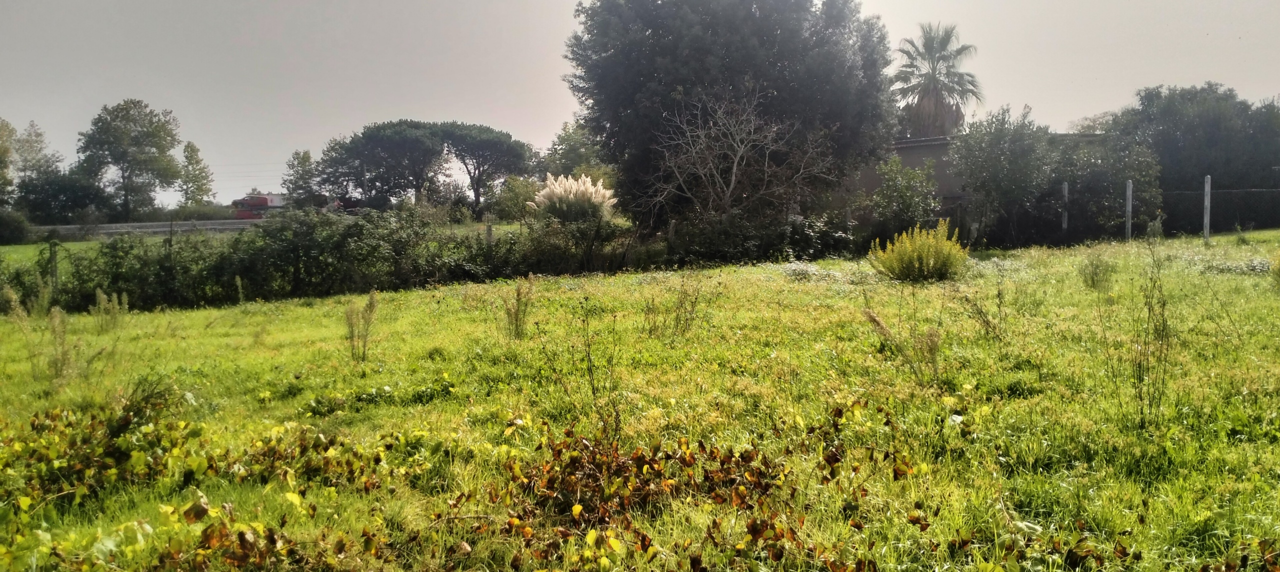 Foto annuncio 11