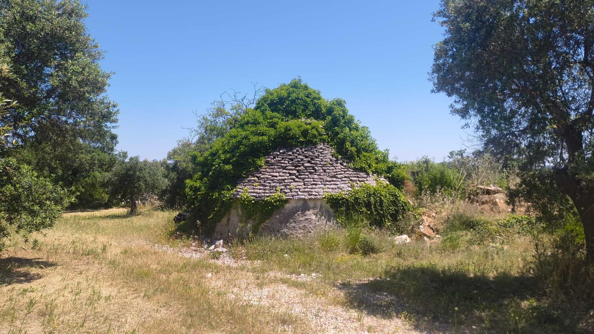 Foto annuncio 1