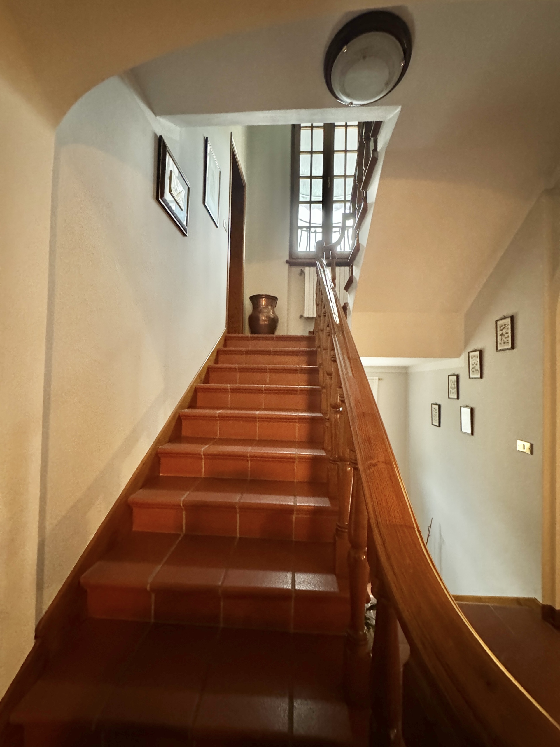 Immagine 26 di Villa in affitto  a Pietrasanta