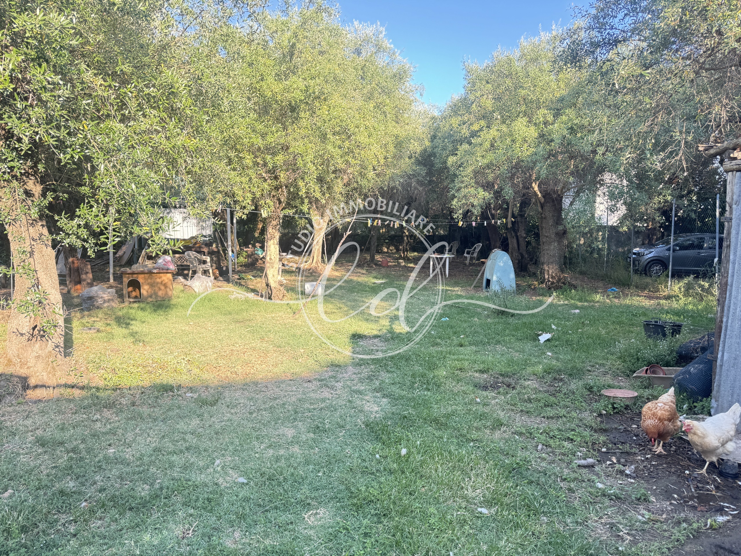 Immagine 19 di Porzione di casa in vendita  a Seravezza