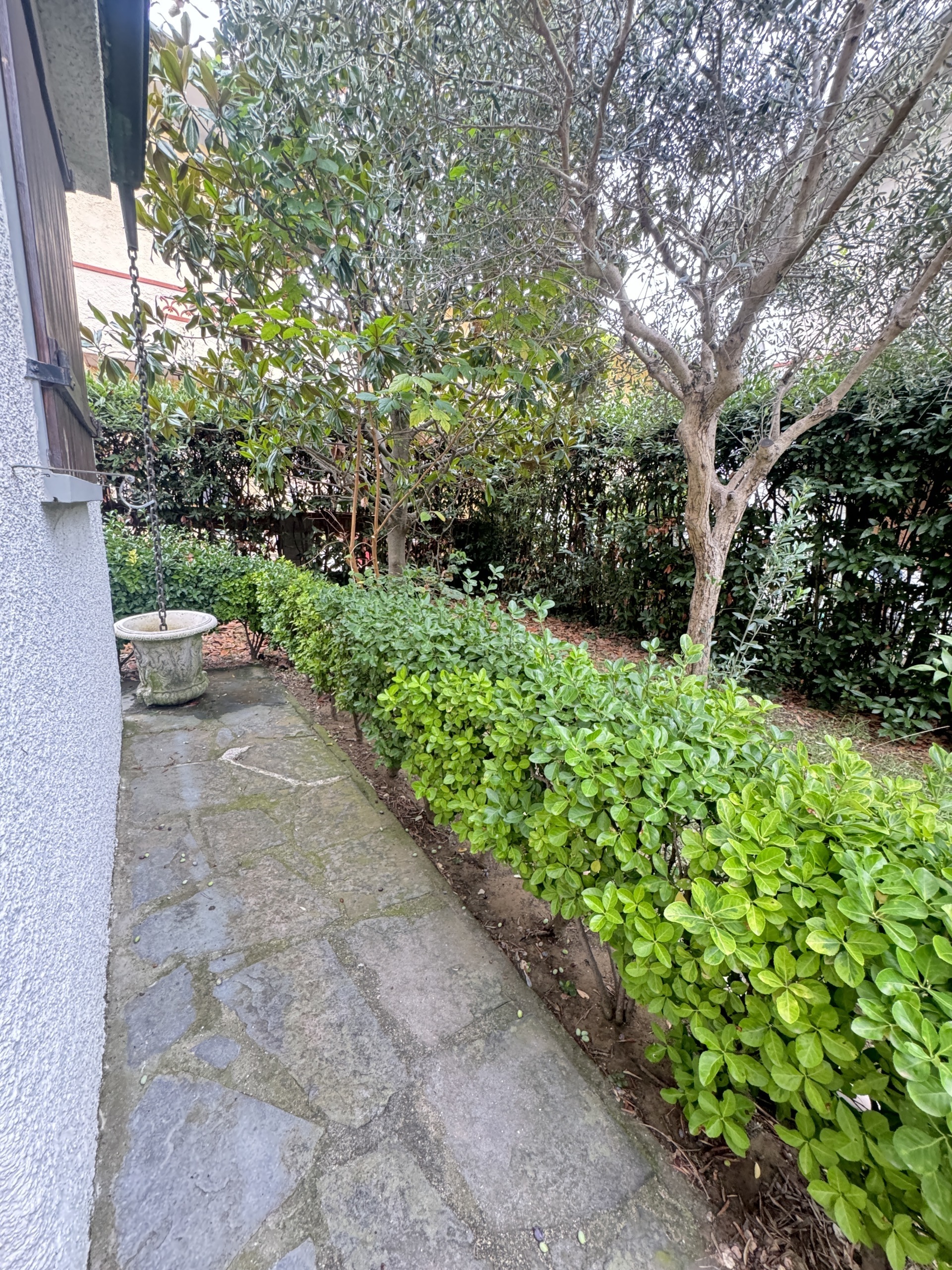 Immagine 23 di Casa indipendente in vendita  a Viareggio