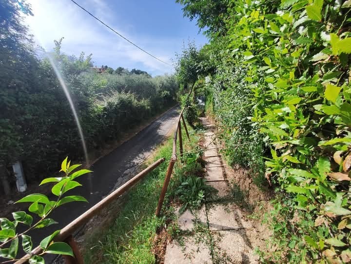 Immagine 3 di Terreno agricolo in vendita  in via monte palombino a Fonte Nuova