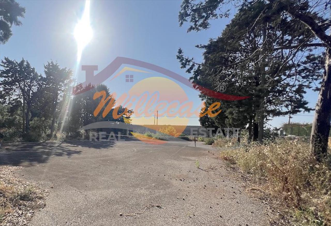 Immagine 9 di Casa bifamiliare in vendita  in Via Blanco a Siracusa