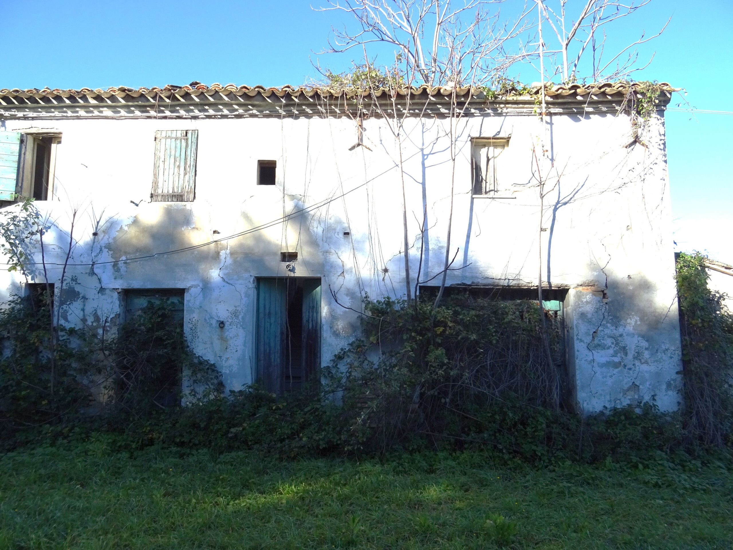 Foto annuncio 4