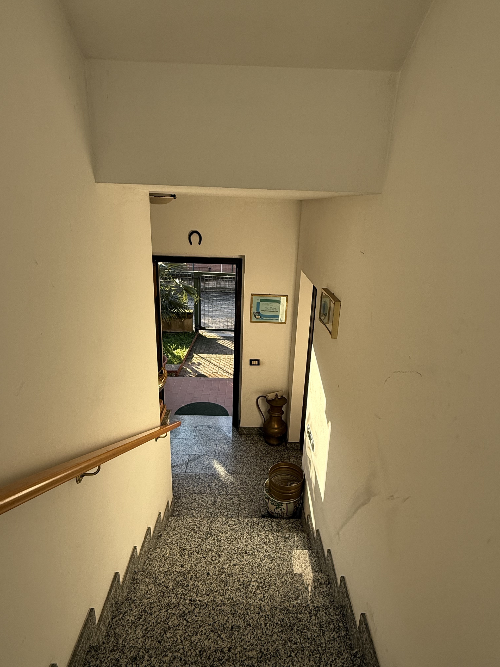 Foto annuncio 43