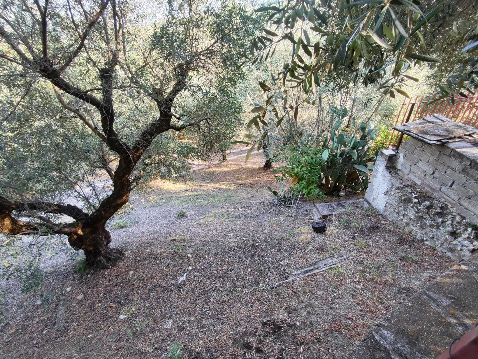 Immagine 17 di Terreno agricolo in vendita  in via caolini a Marcellina