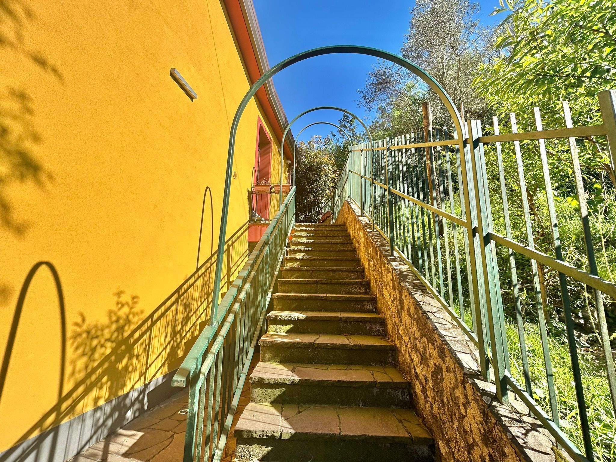 Foto annuncio 9