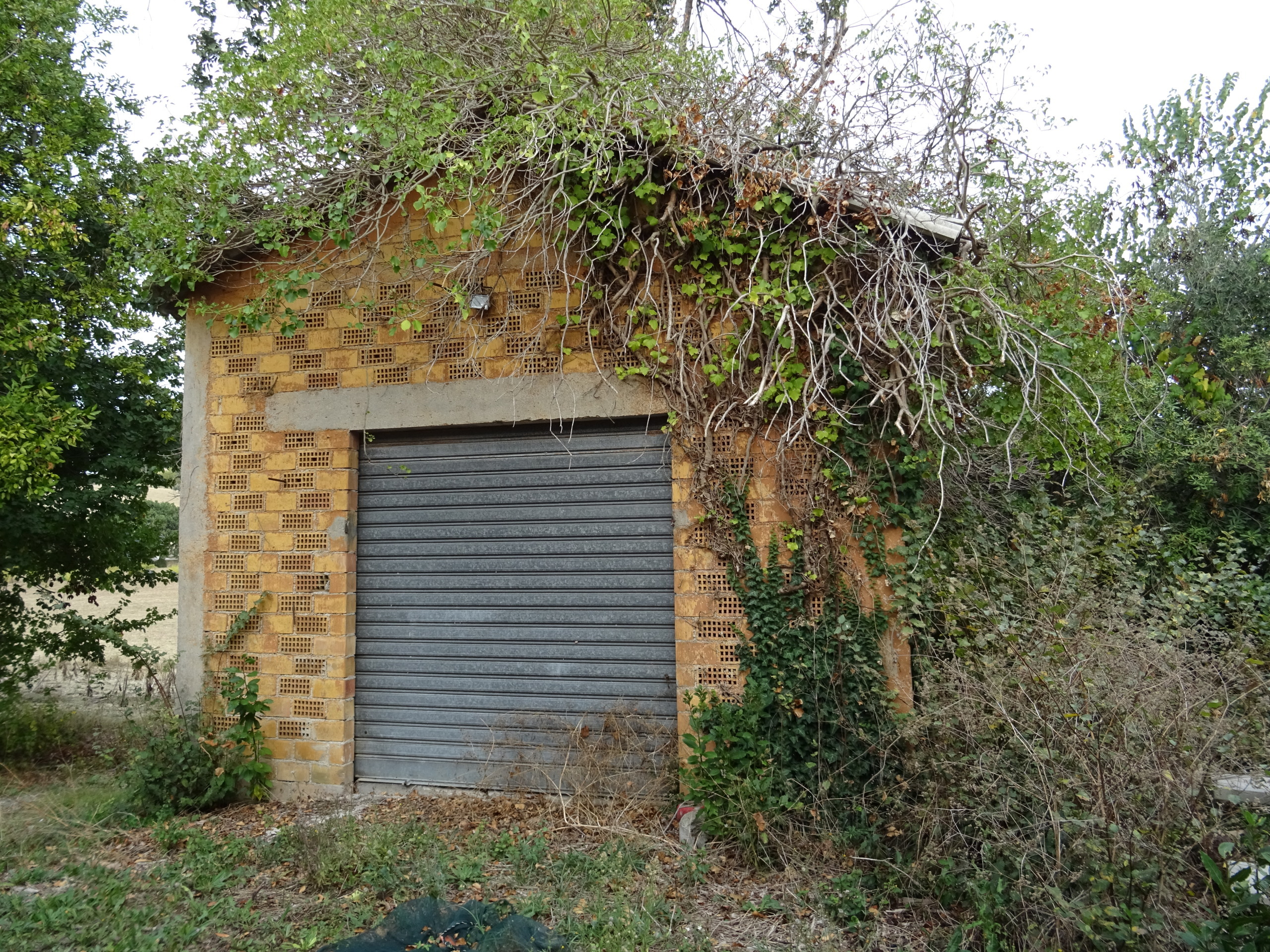 Immagine 5 di Casa indipendente in vendita  a Senigallia