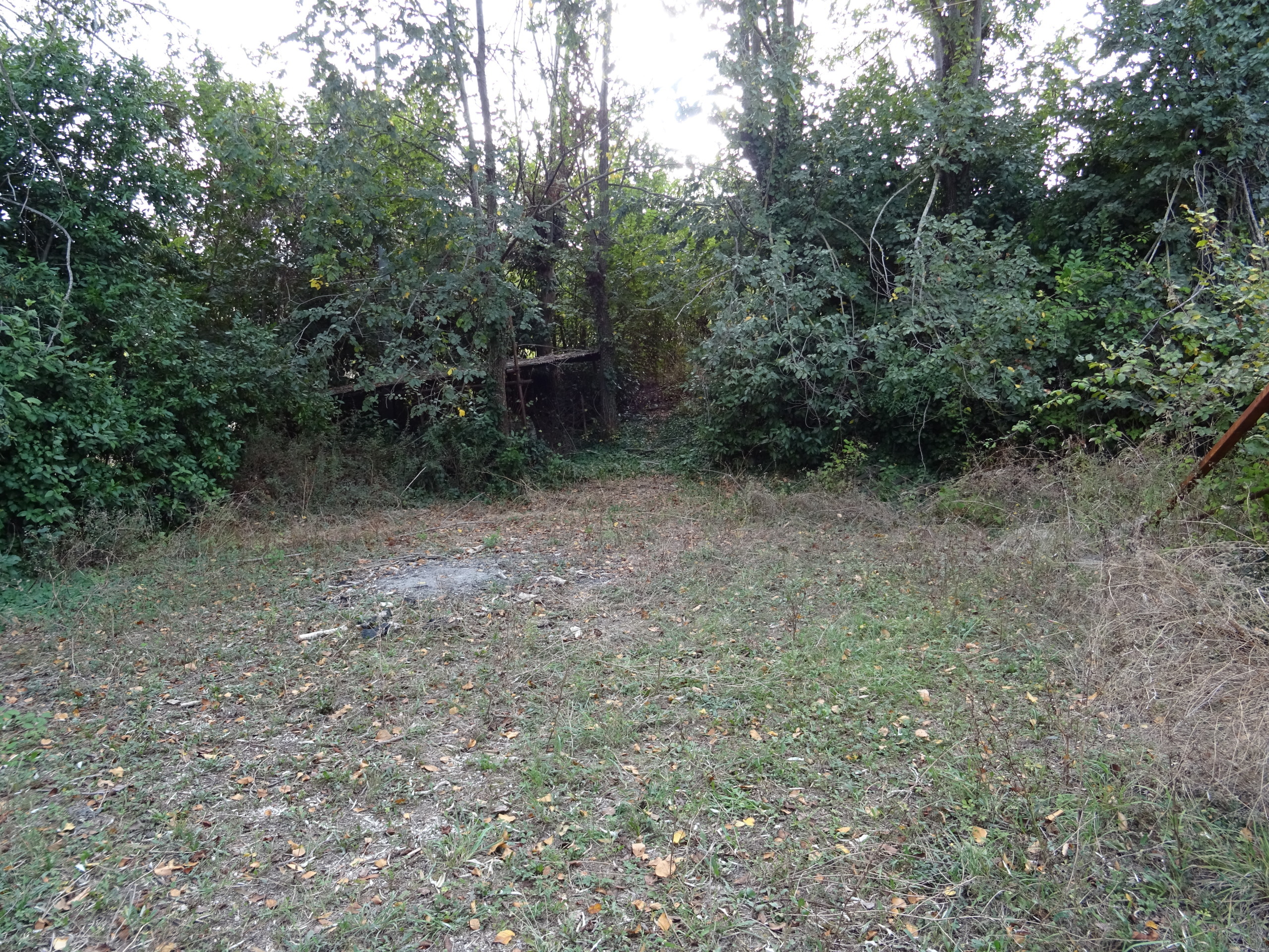 Immagine 8 di Casa indipendente in vendita  a Senigallia