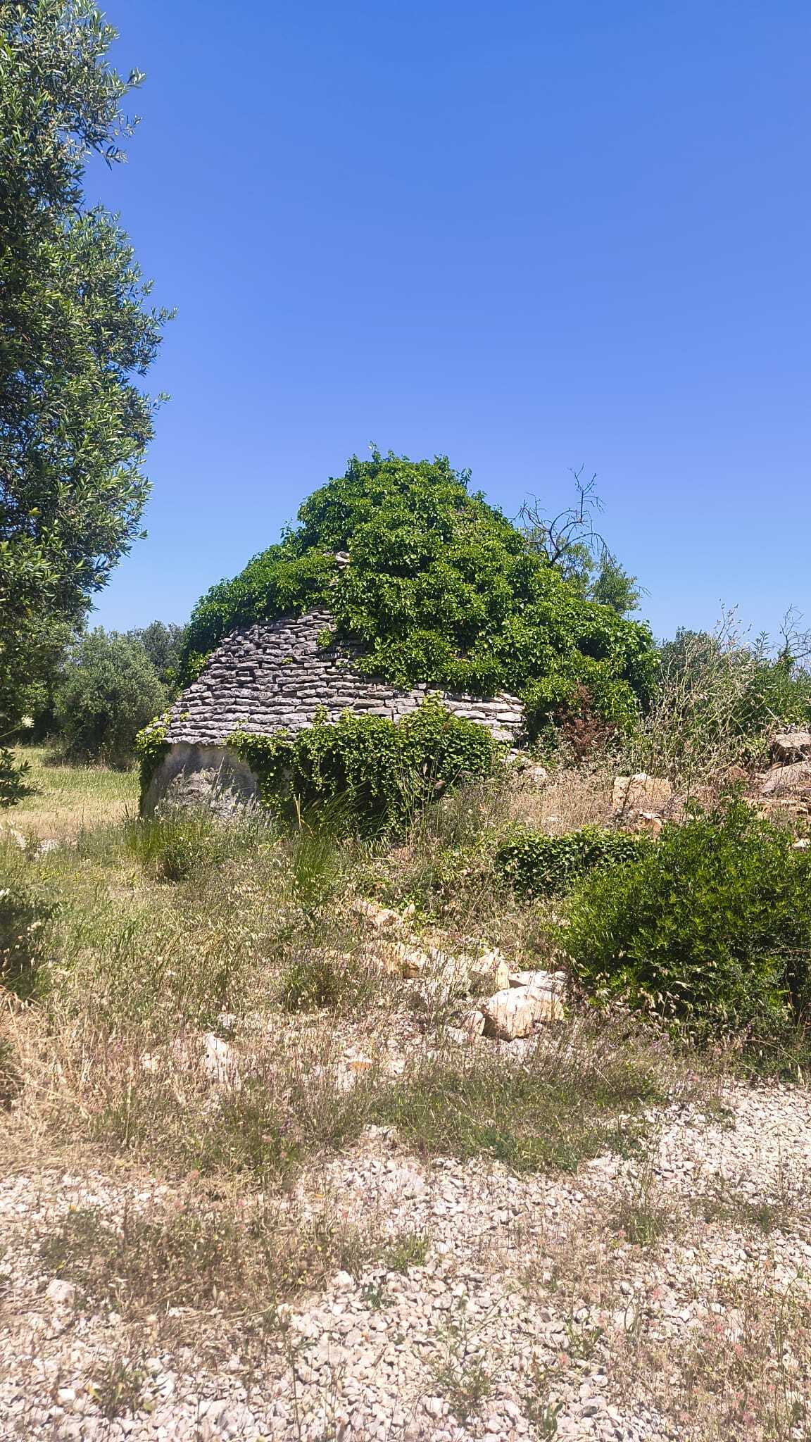 Foto annuncio 6