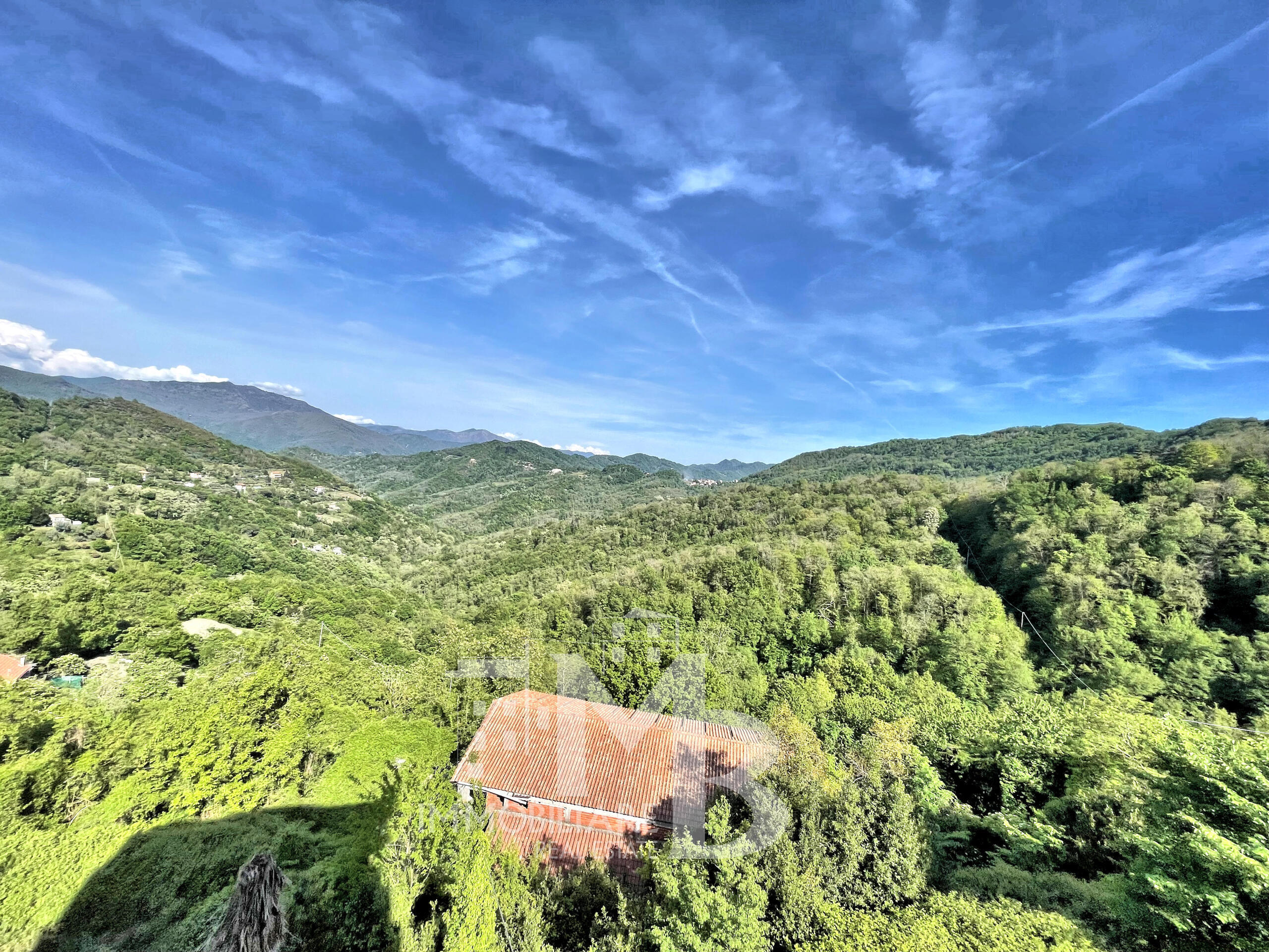 Foto annuncio 8