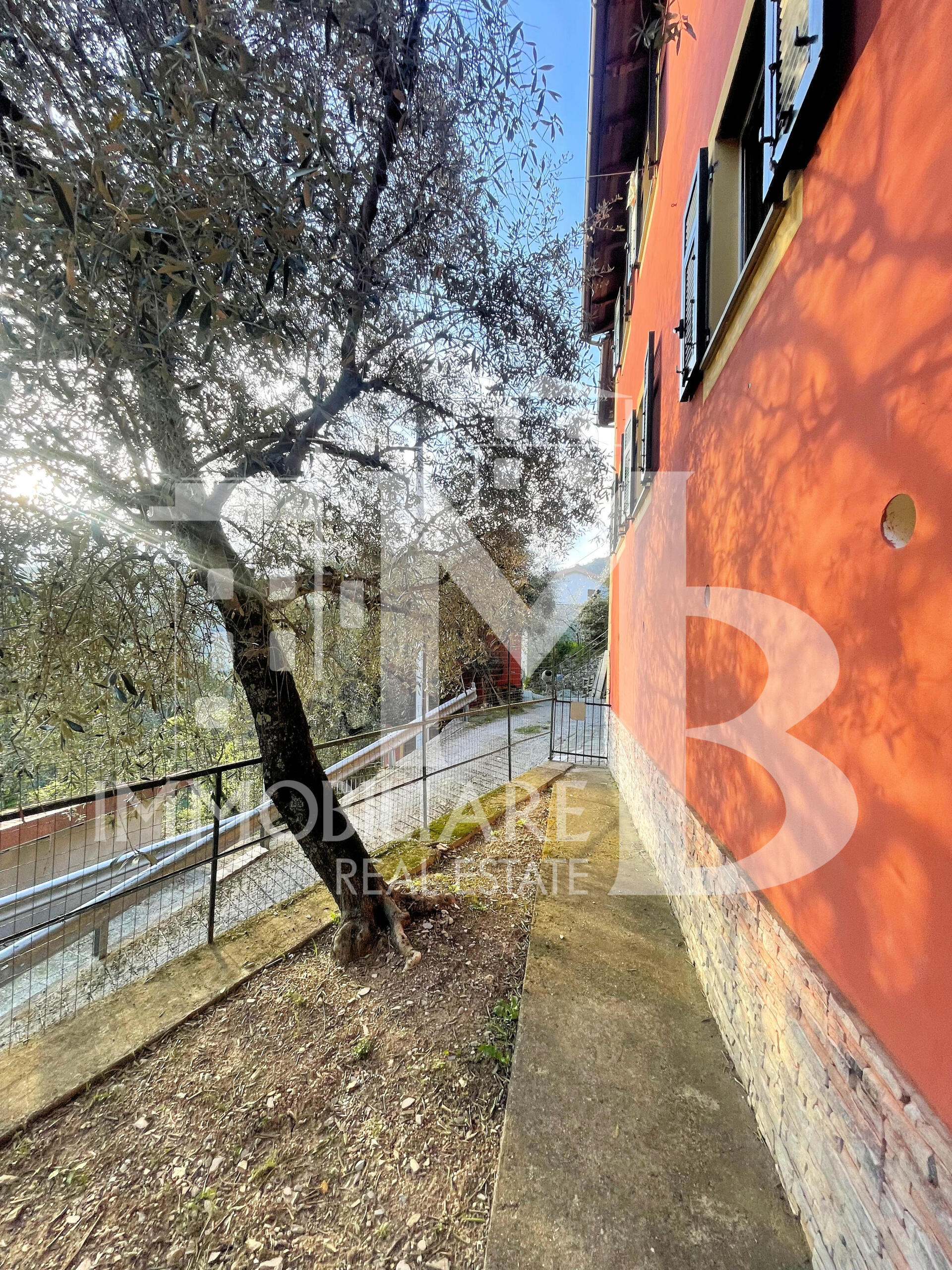 Foto annuncio 10