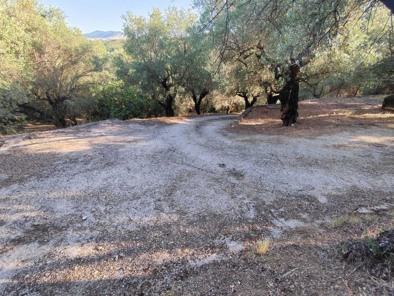 Immagine 23 di Terreno agricolo in vendita  in via caolini a Marcellina