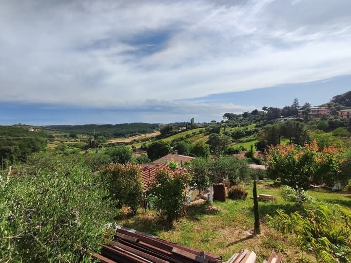 Immagine 18 di Terreno agricolo in vendita  in via monte palombino a Fonte Nuova