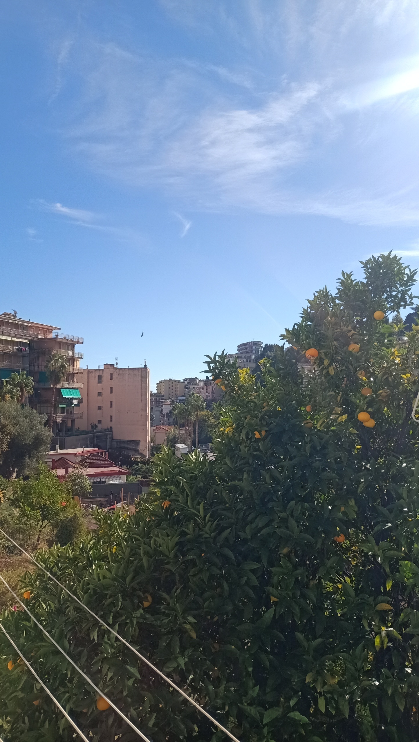 Immagine 21 di Bilocale in vendita  a San Remo