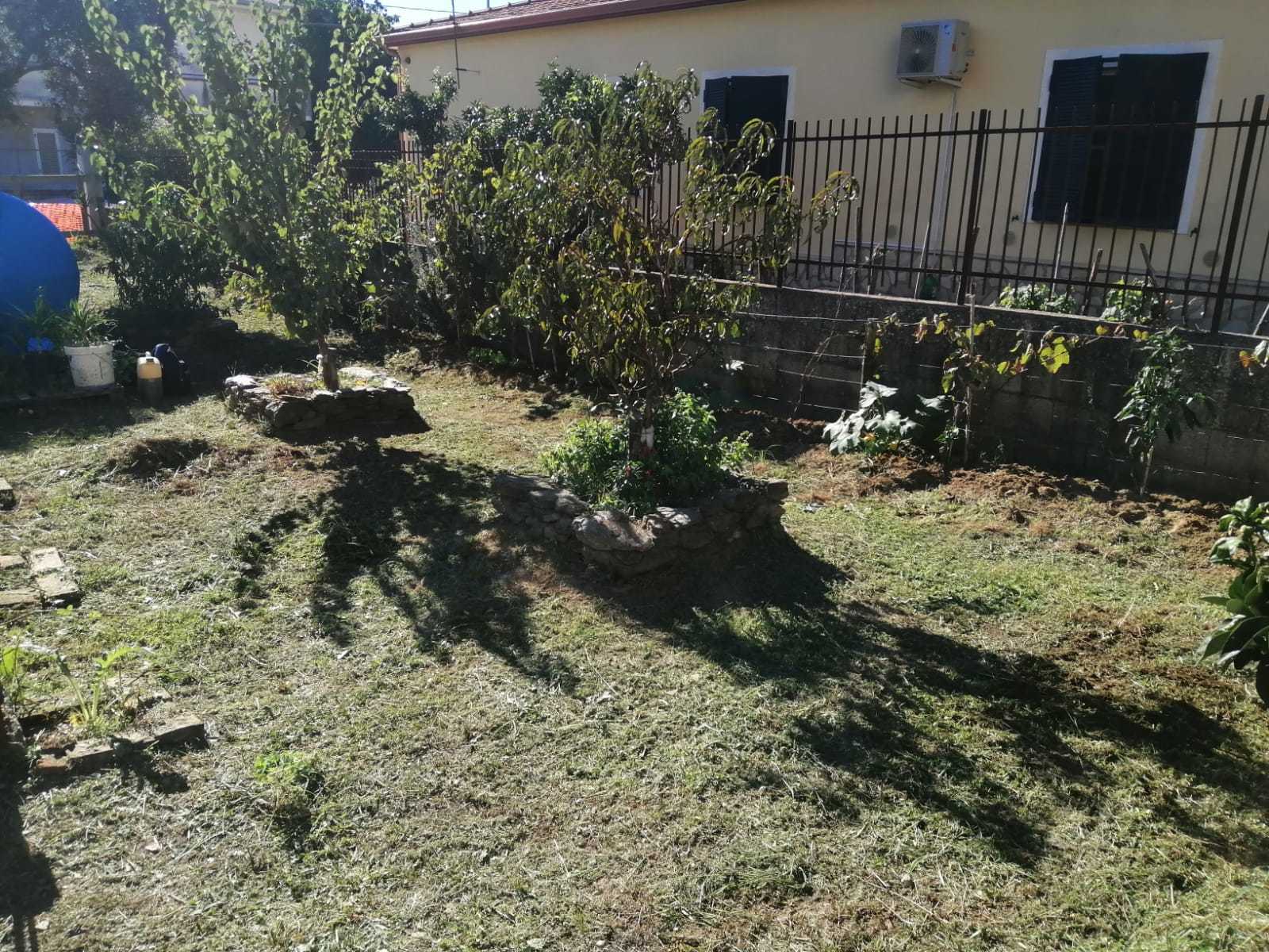 Foto annuncio 4