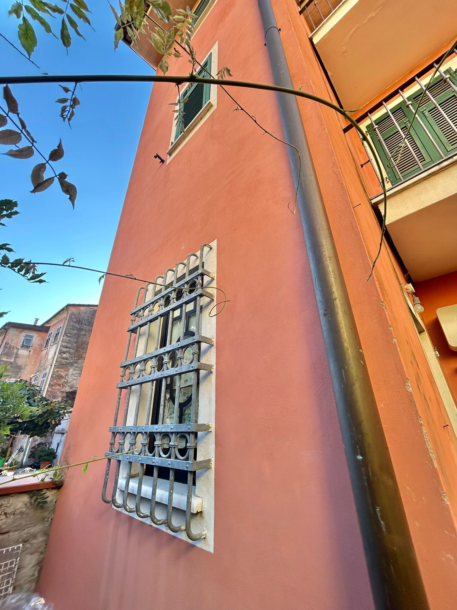 Foto annuncio 5
