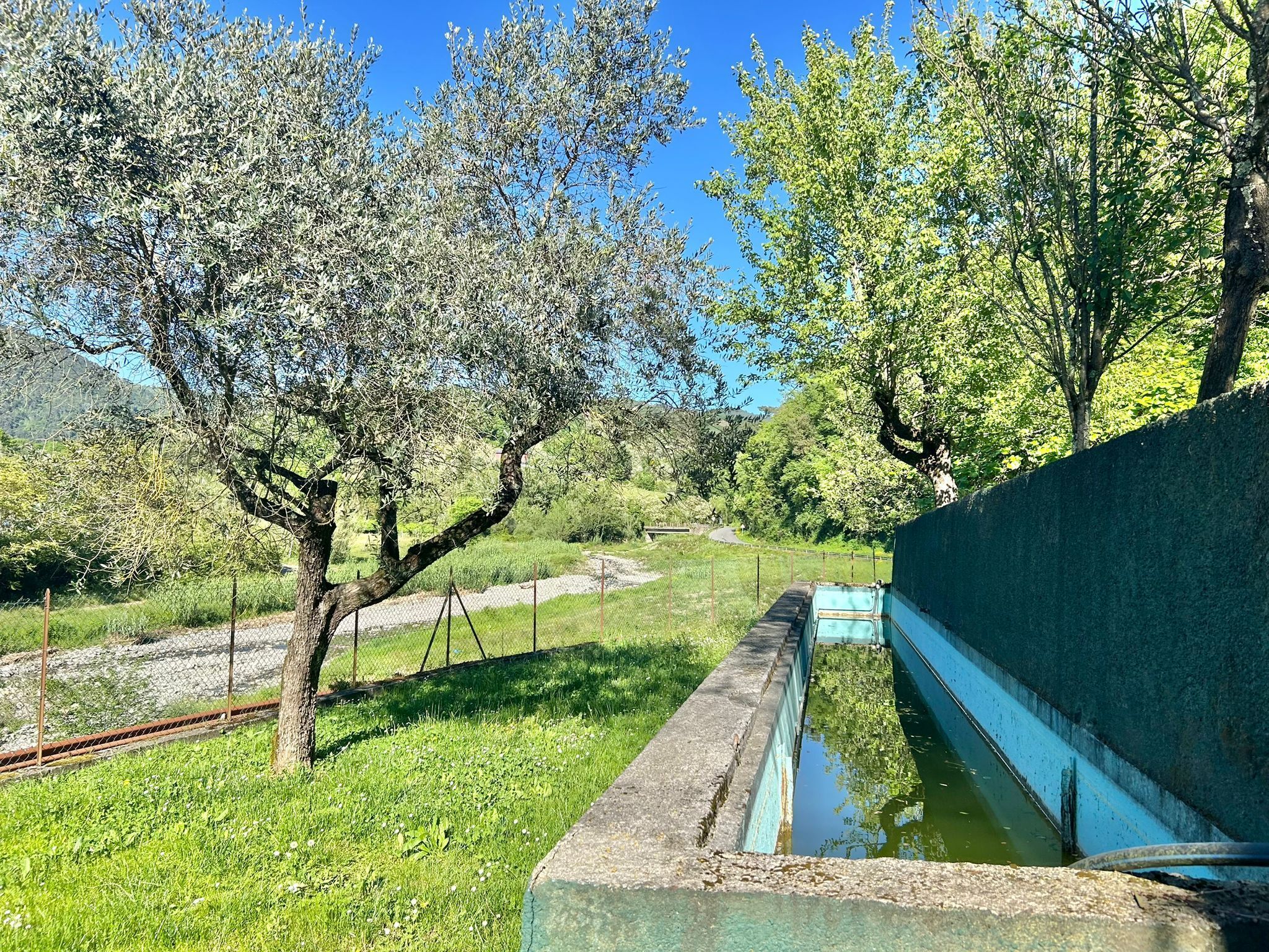 Foto annuncio 5