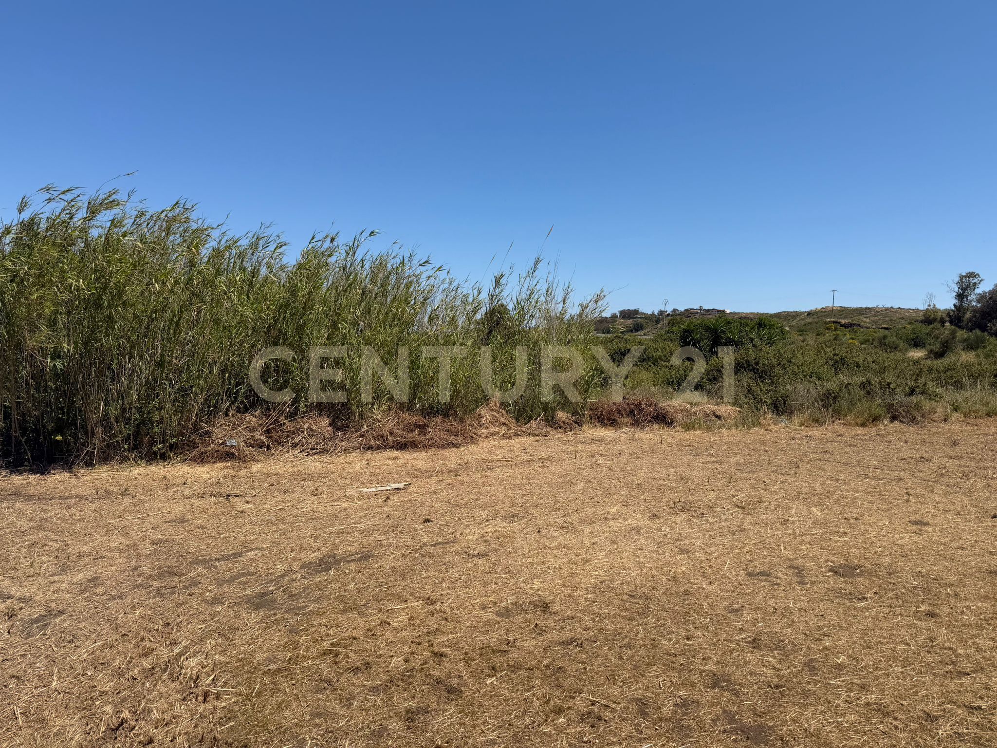 Foto annuncio 20