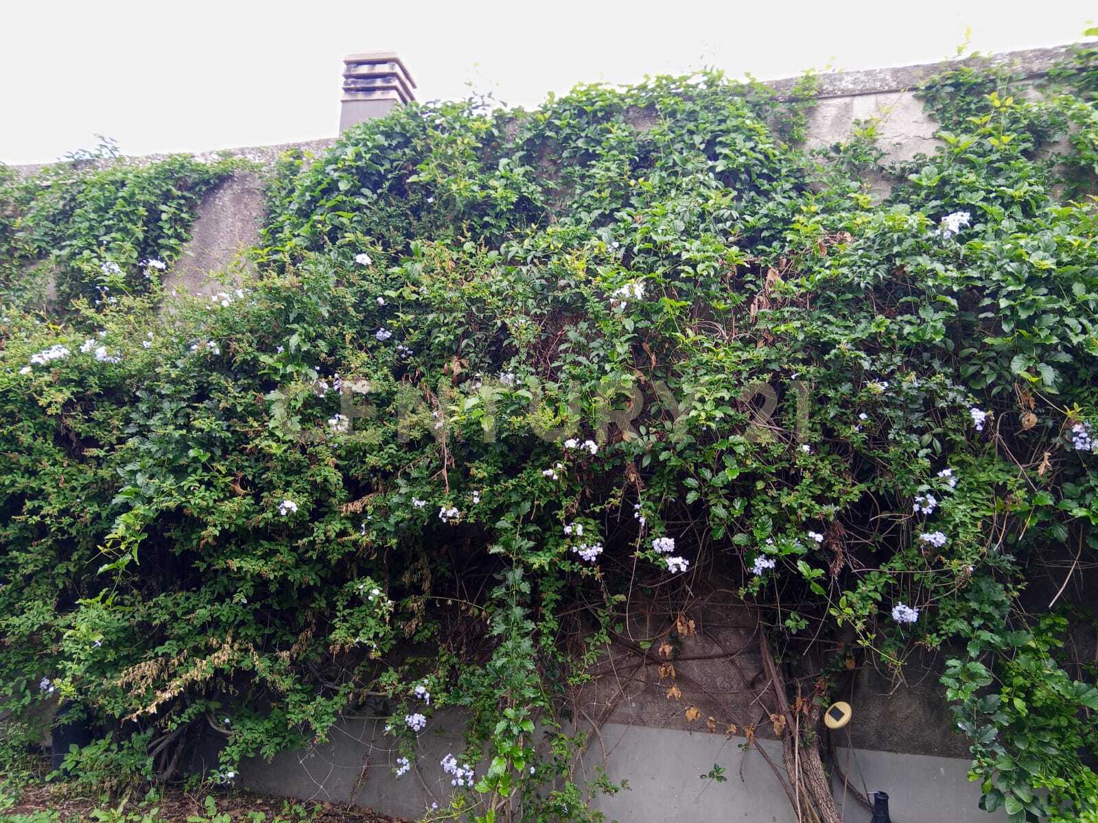 Immagine 70 di Villa in vendita  in Via Calvario 43 a Mascalucia