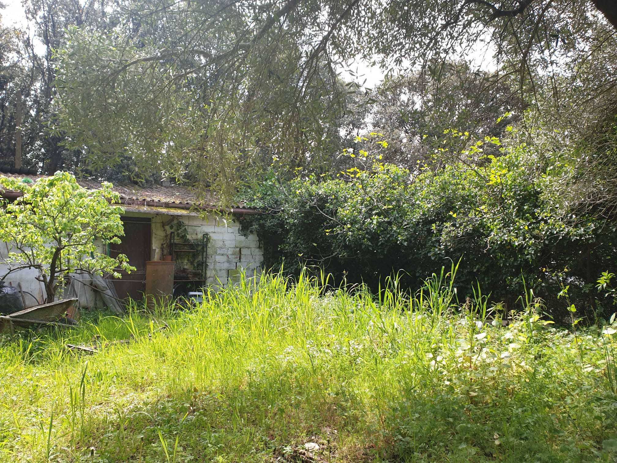 Immagine 12 di Rustico / casale in vendita  a Livorno