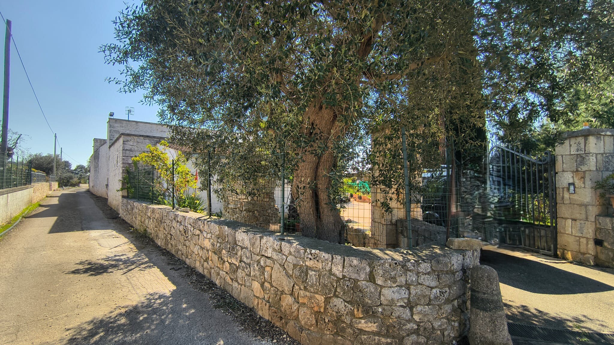 Foto annuncio 12