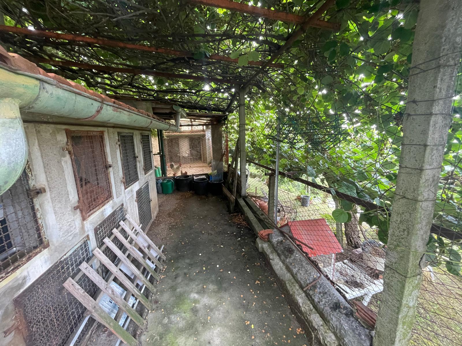 Immagine 64 di Porzione di casa in vendita  a Pietrasanta