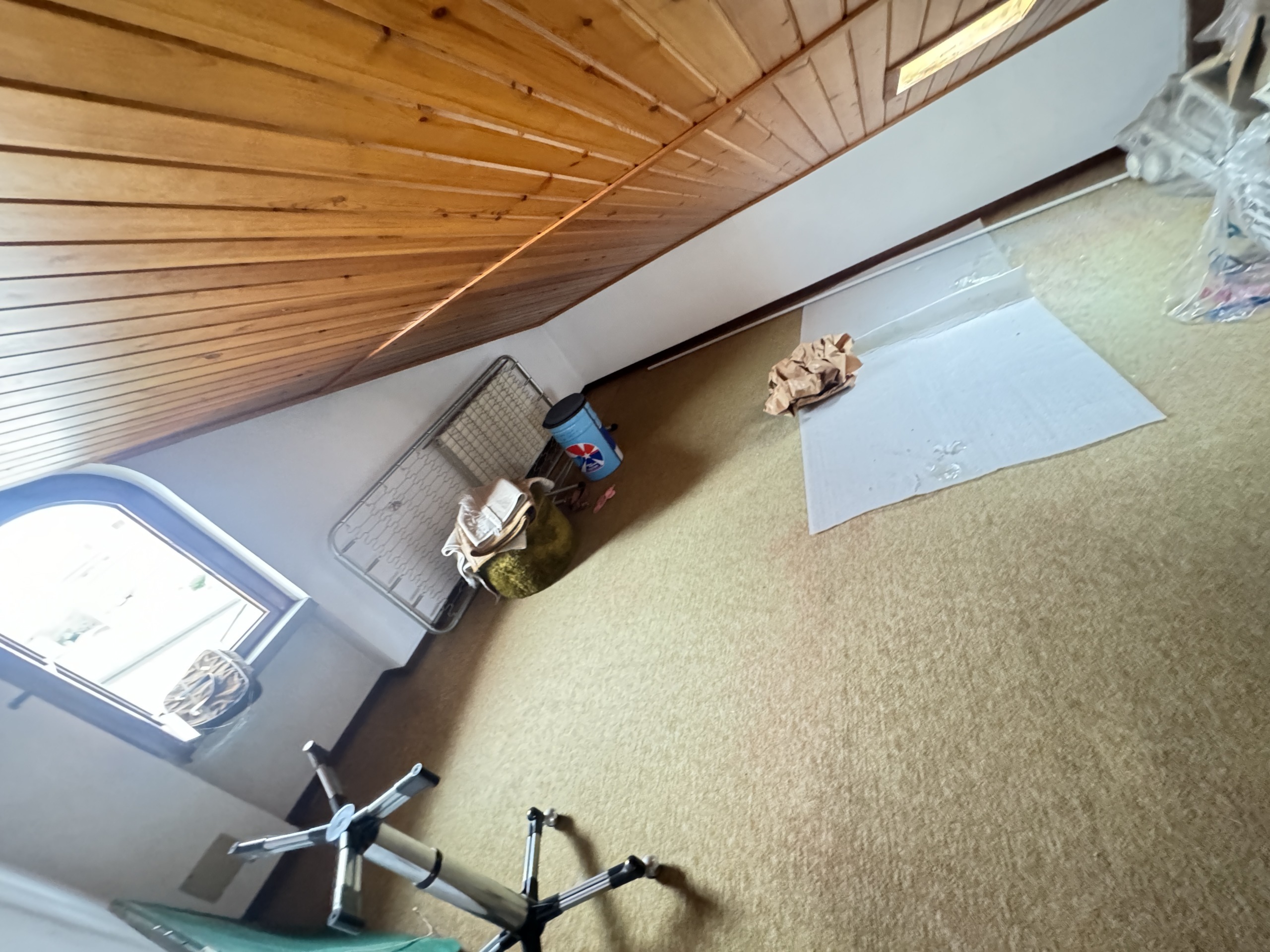 Immagine 62 di Casa indipendente in vendita  a Viareggio