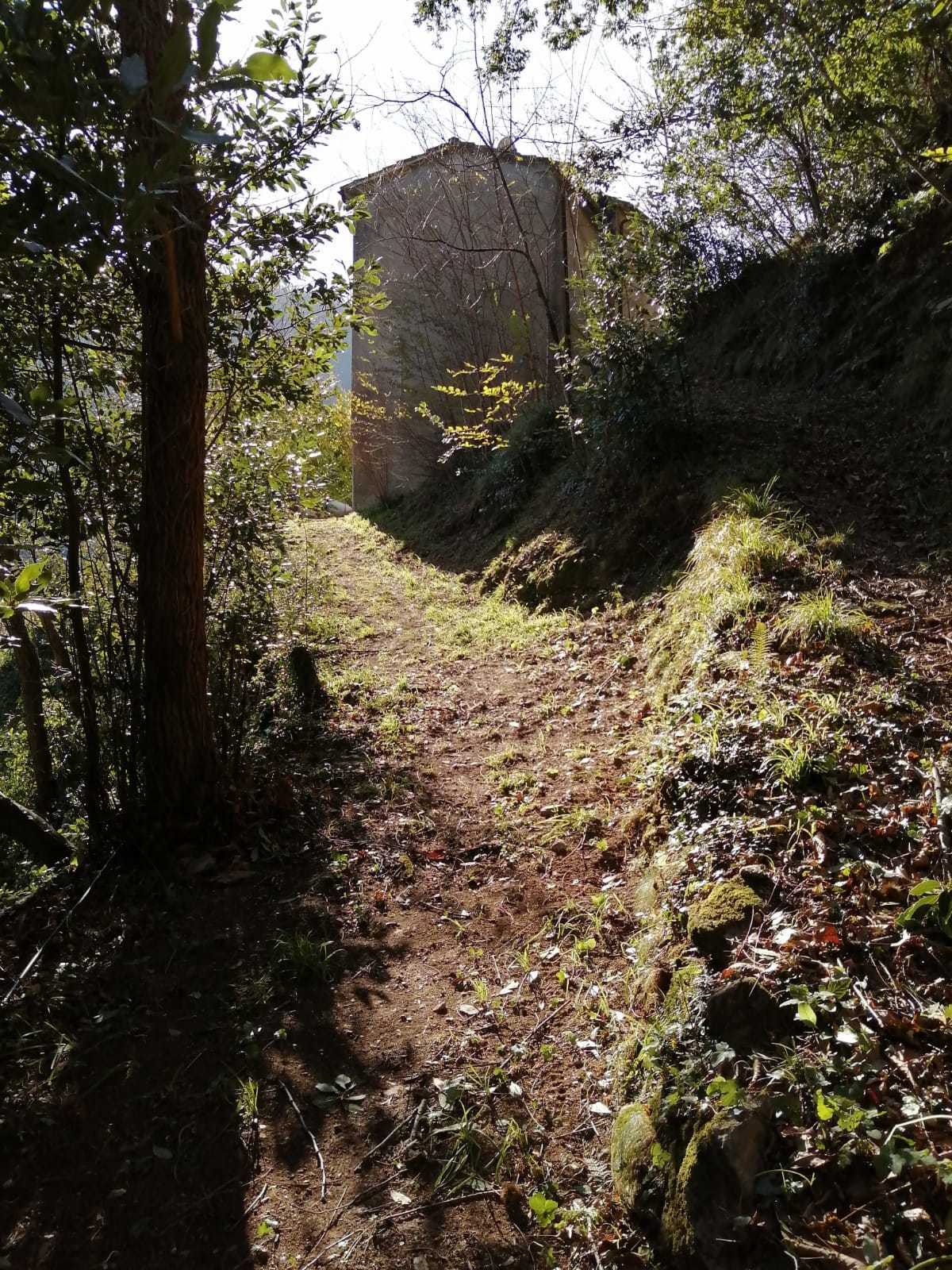 Immagine 23 di Porzione di casa in vendita  a Seravezza
