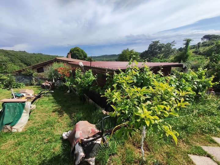 Immagine 9 di Terreno agricolo in vendita  in via monte palombino a Fonte Nuova