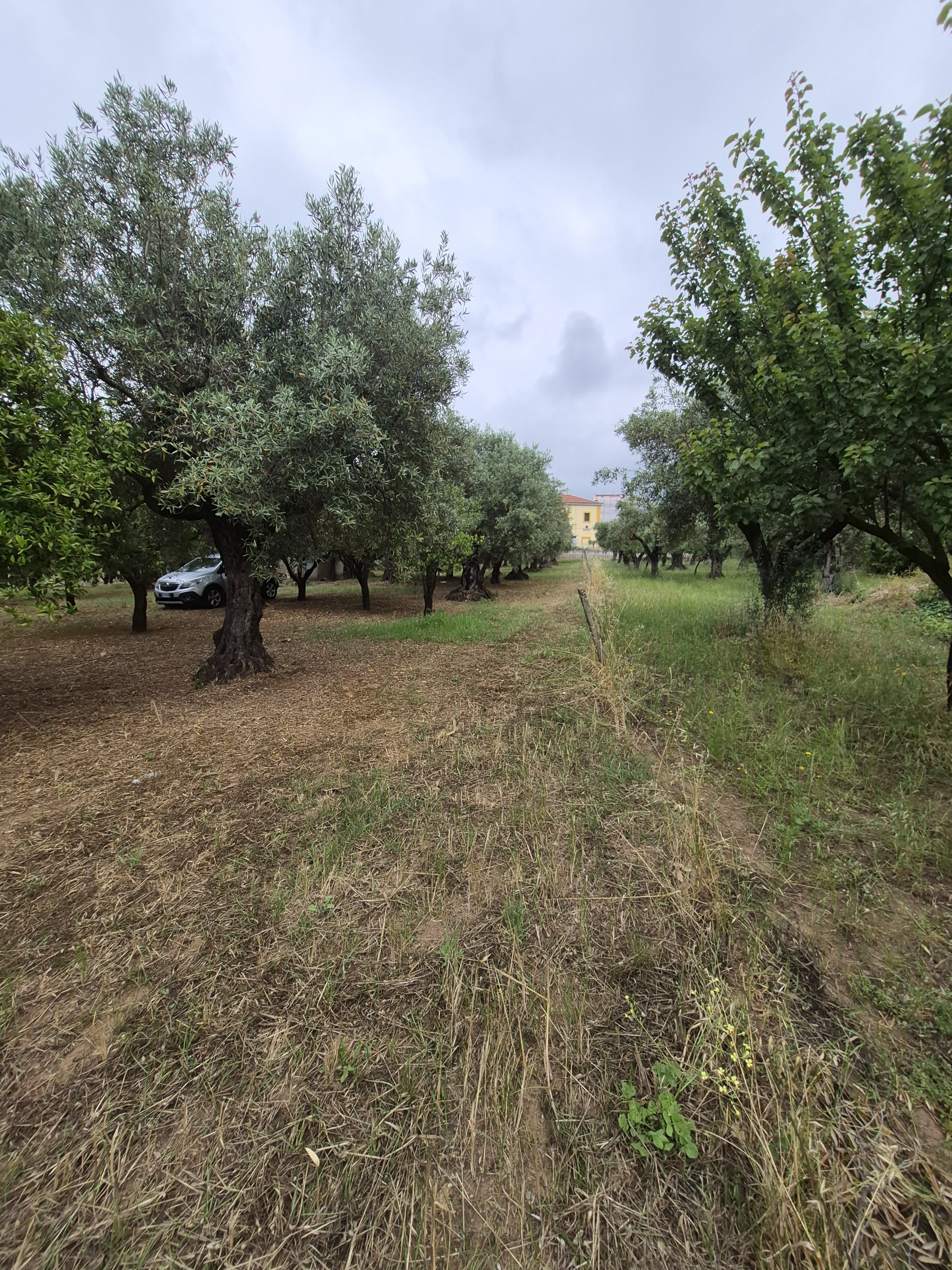 Foto annuncio 1