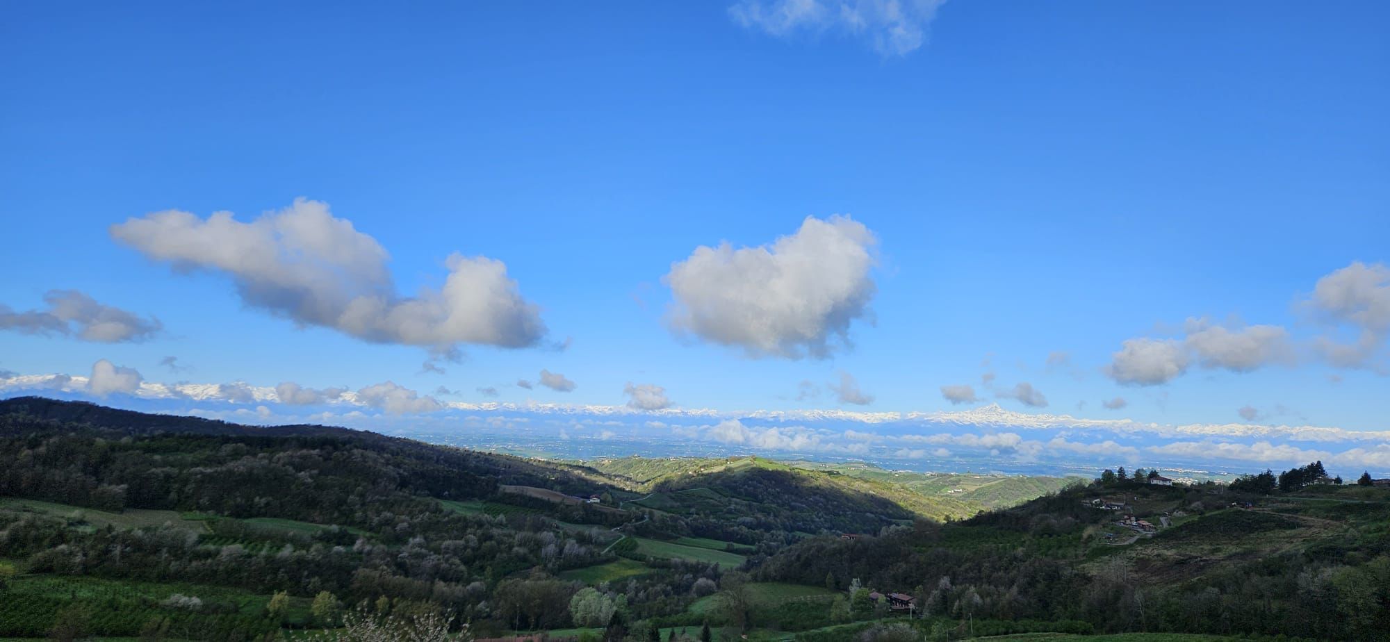 Foto annuncio 19