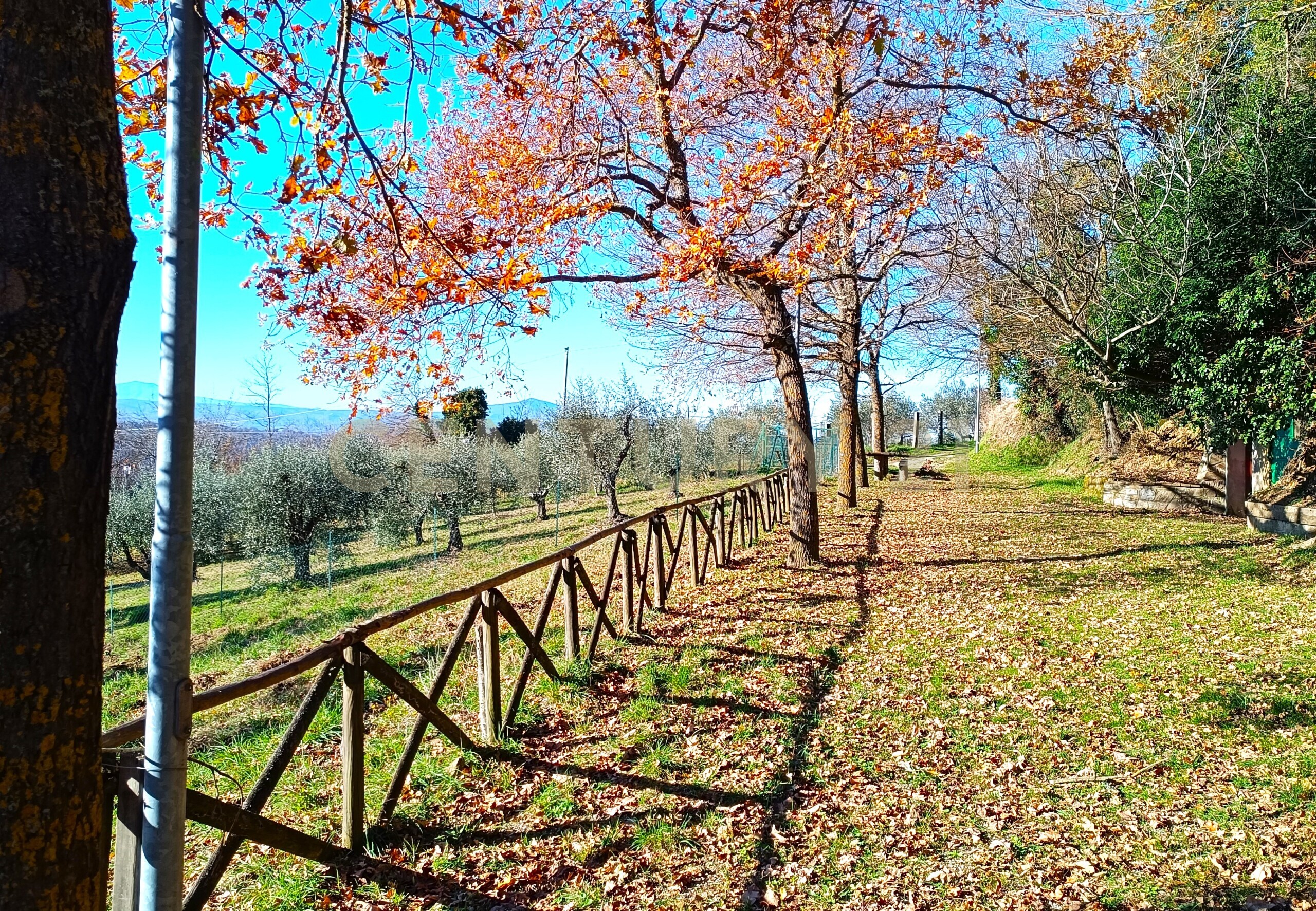 Foto annuncio 35