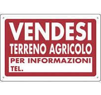 Immagine 1 di Terreno agricolo in vendita  a Pietrasanta
