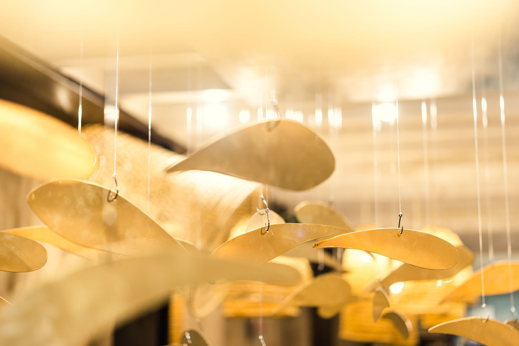 Immagine 5 di Bar / Ristorante in affitto  a Pietrasanta