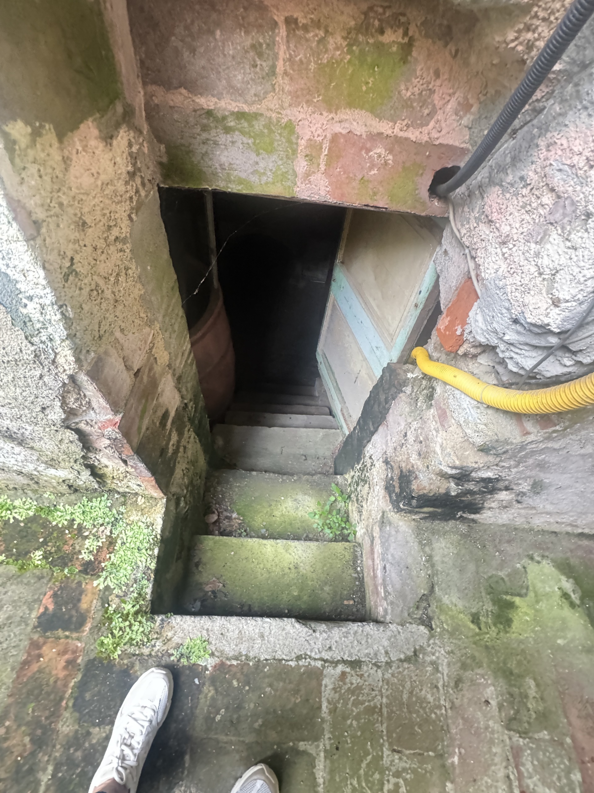 Immagine 24 di Porzione di casa in vendita  a Seravezza