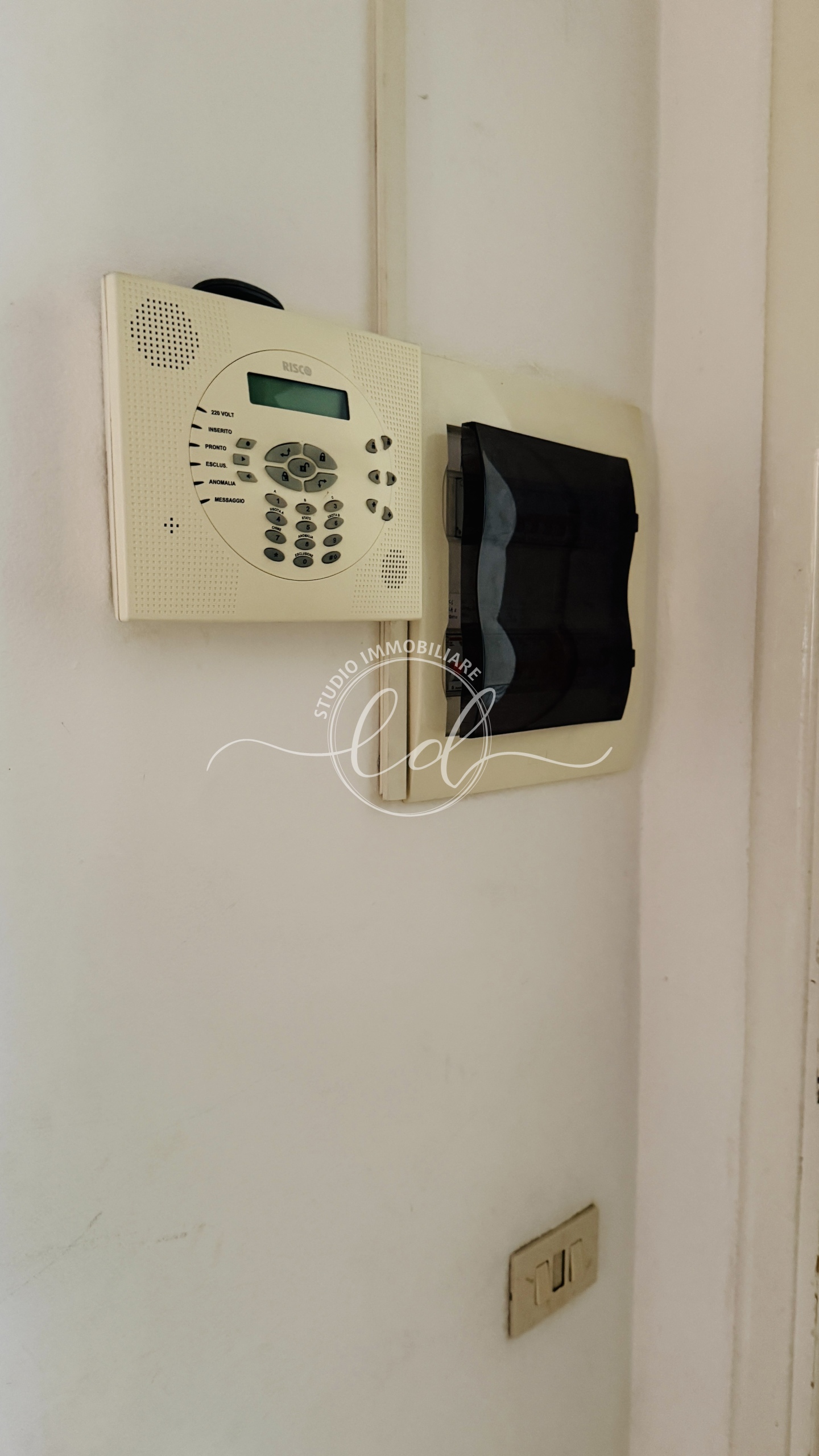 Foto annuncio 69