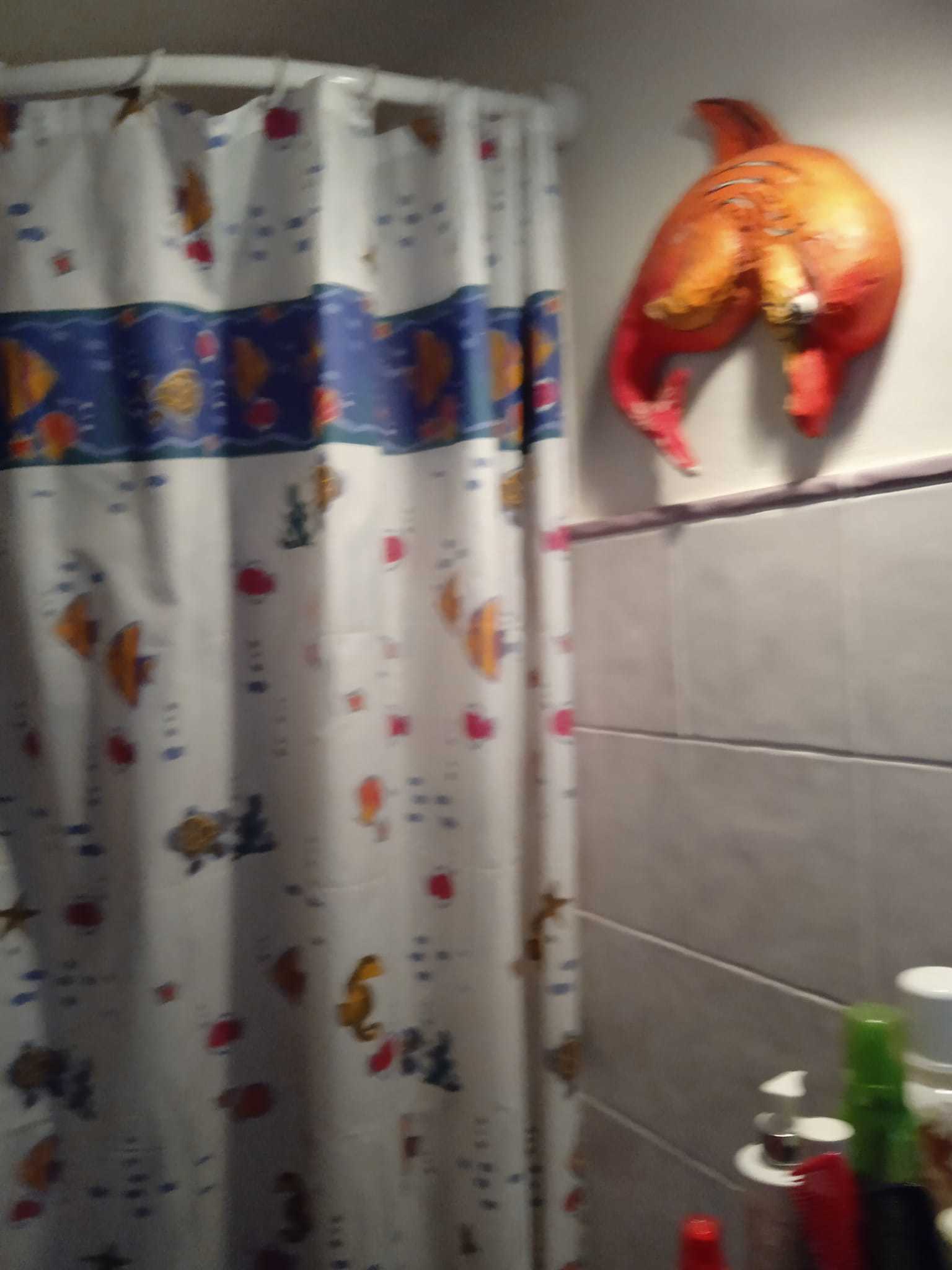 Immagine 53 di Porzione di casa in vendita  a Seravezza