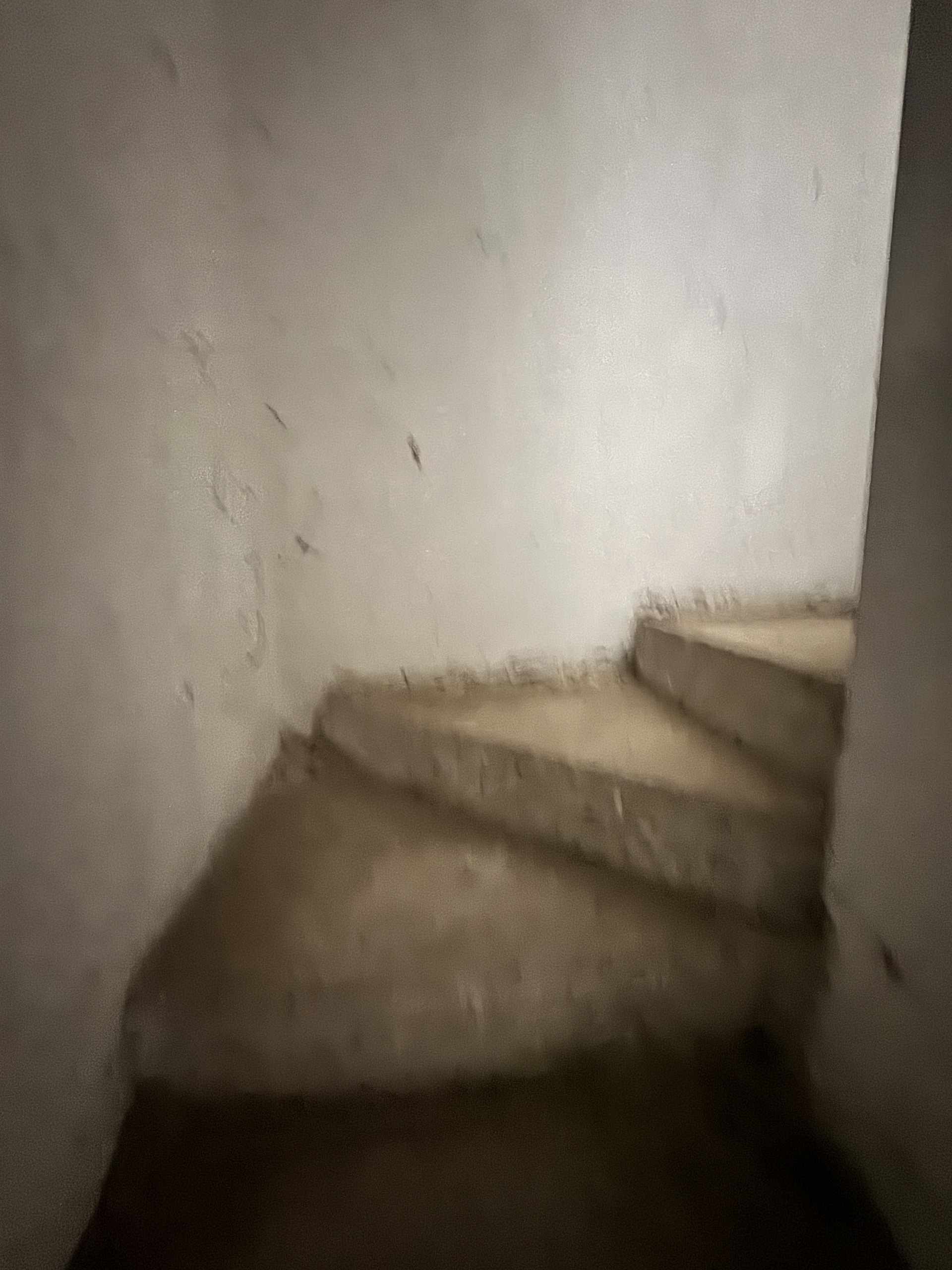 Immagine 46 di Porzione di casa in vendita  a Camaiore